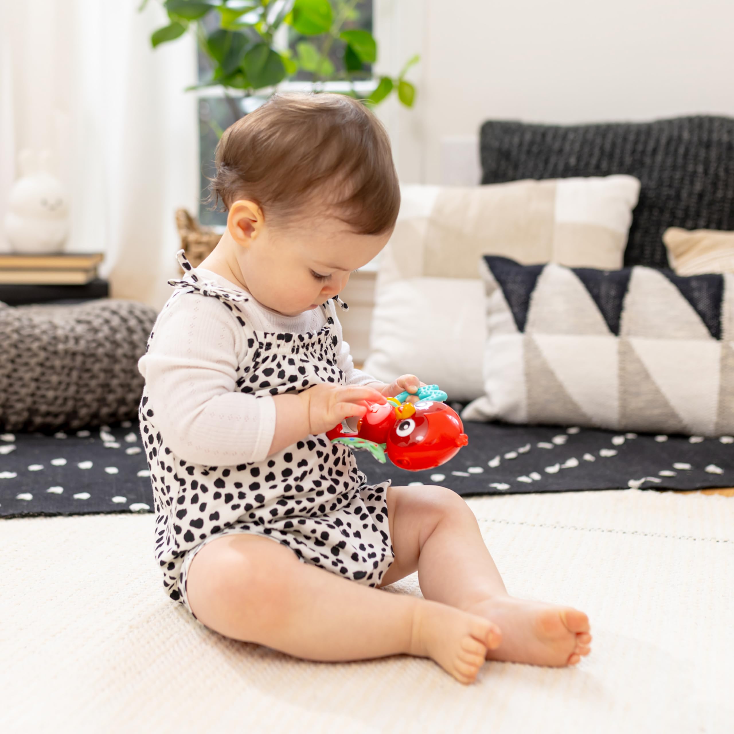 Baby Einstein Roxy’s Bright Flight Musical Toy - Multisensory Play | Ages 3 Months+ 4
