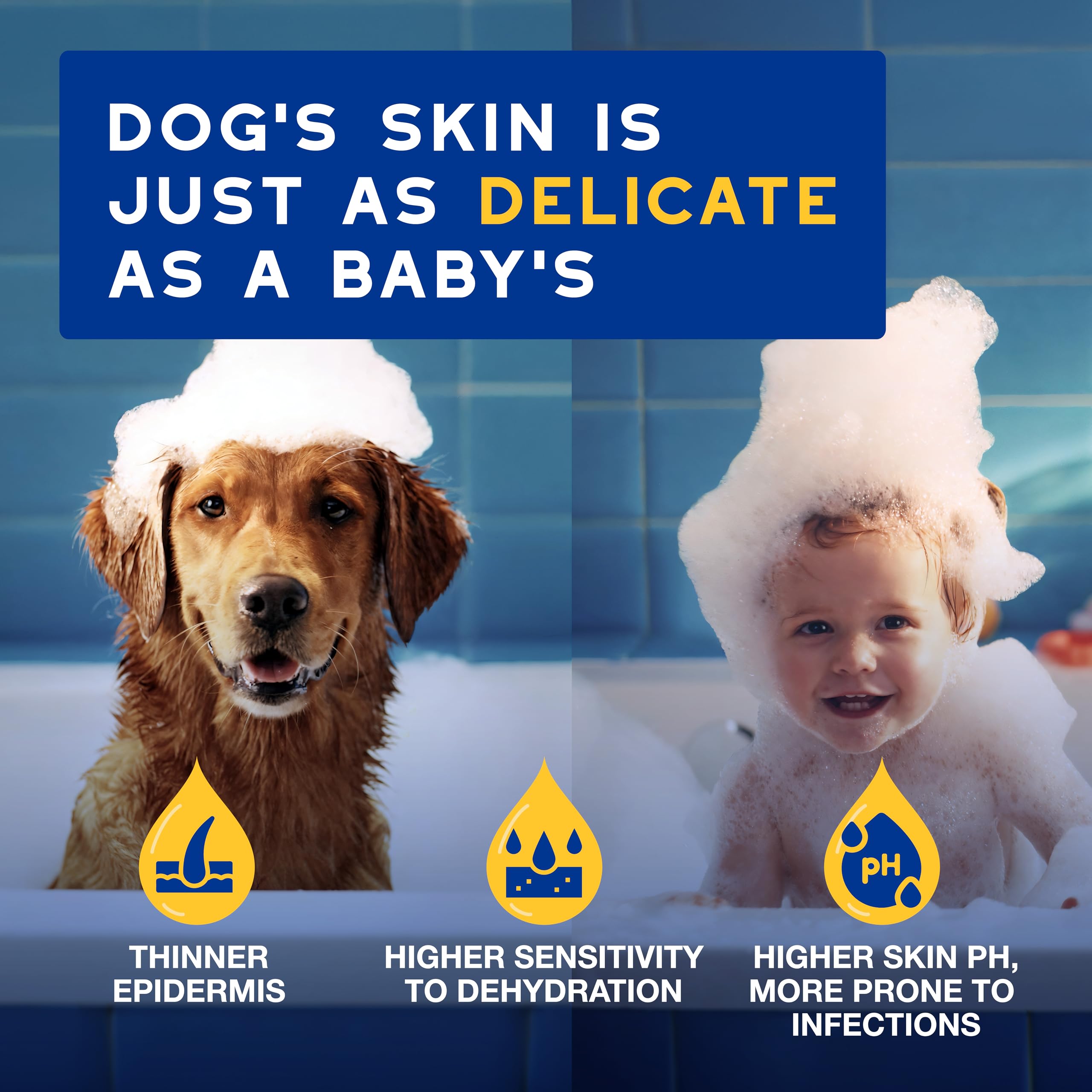 Douxo Skin & Coat SPA Oatmeal Dog Conditioner - Detangles & Hydrates | 250 ml 3