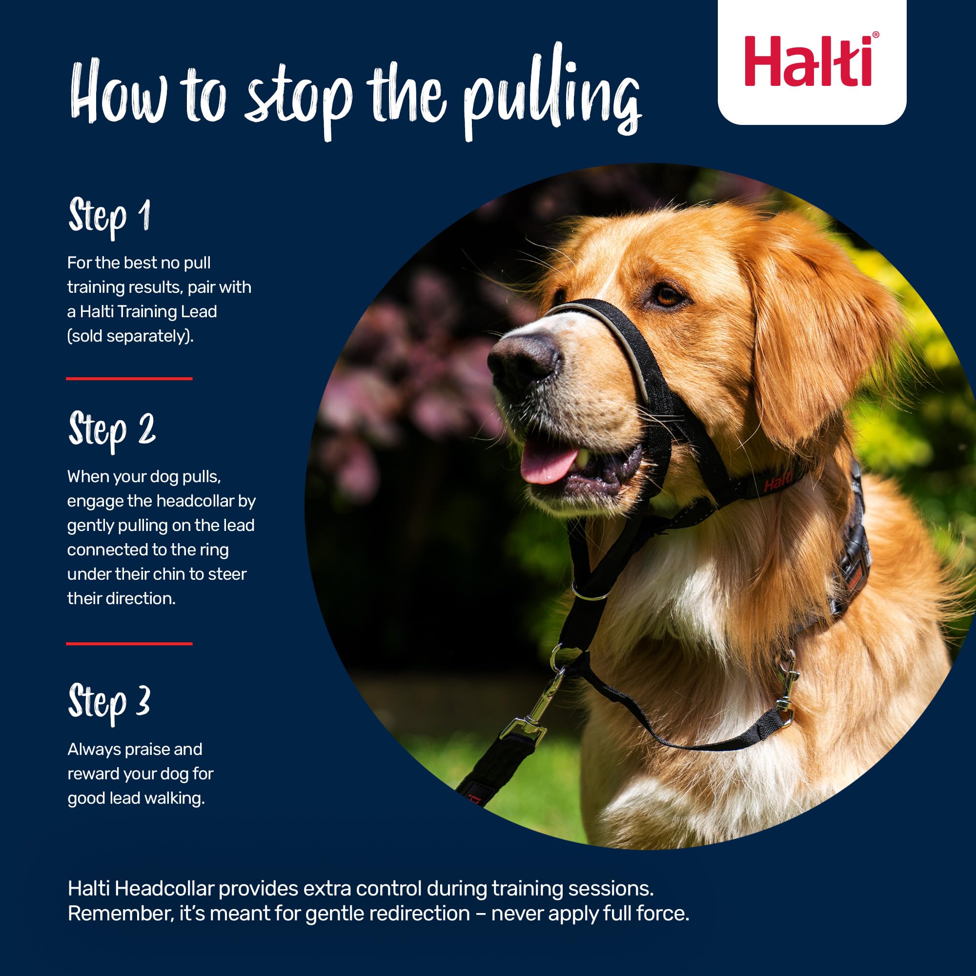Halti Headcollar - Stop Pulling on Lead | Size 3 Black | Padded Nose Band | Reflective 4