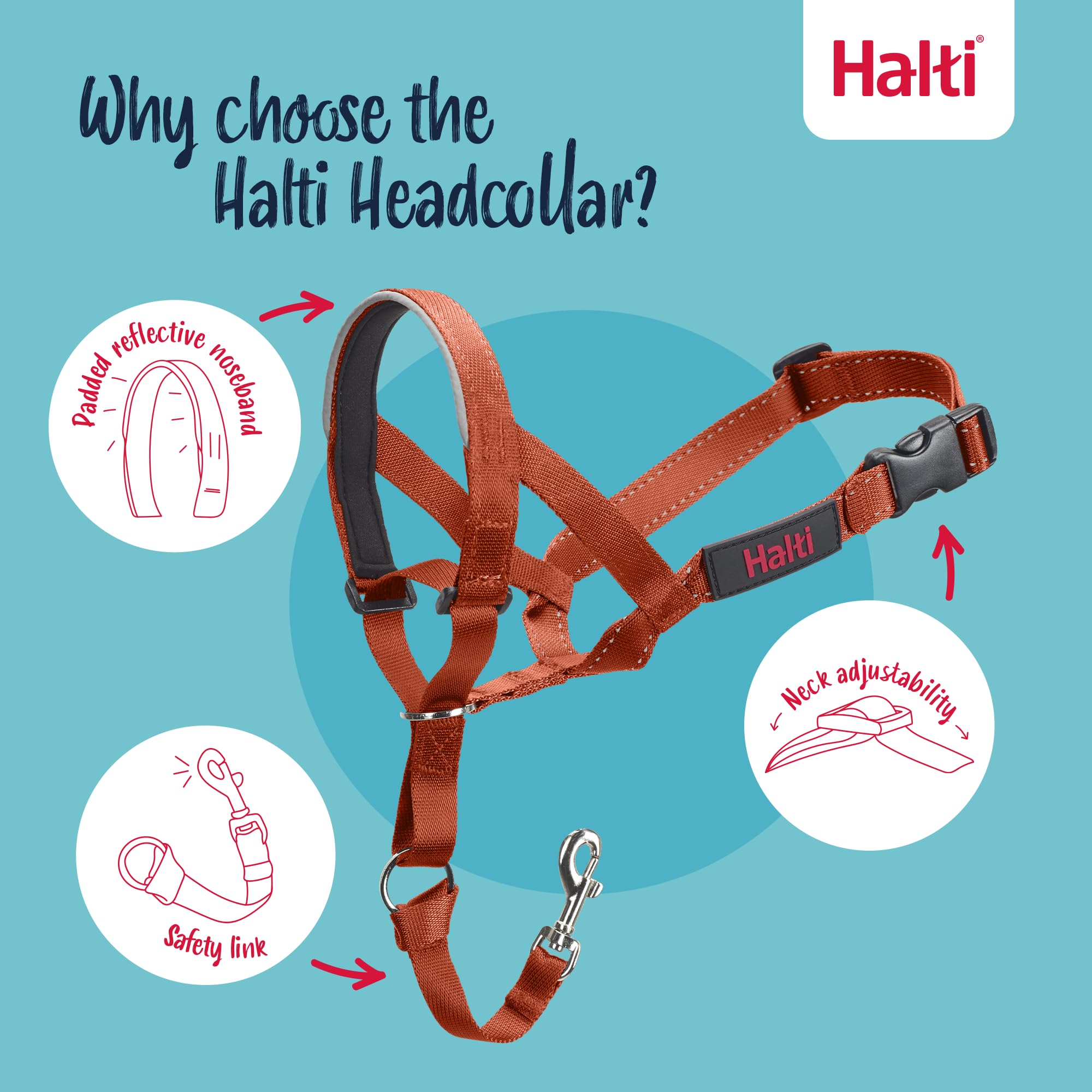 Halti Headcollar - Stops Dog Pulling | Size 2 | Burnt Orange | Reflective 3
