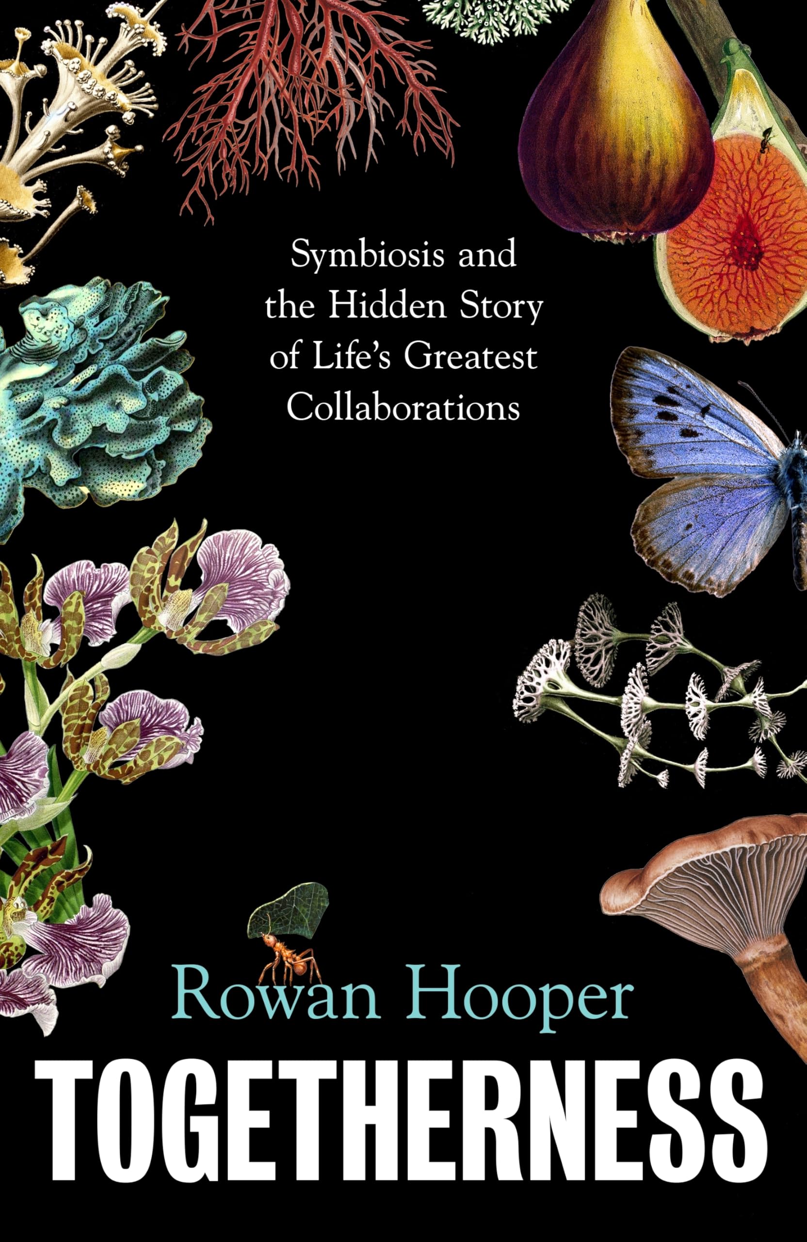 Rowan Hooper - Togetherness: Symbiosis and the Hidden Story of Life’s Greatest Collaborati | Hardcover 1