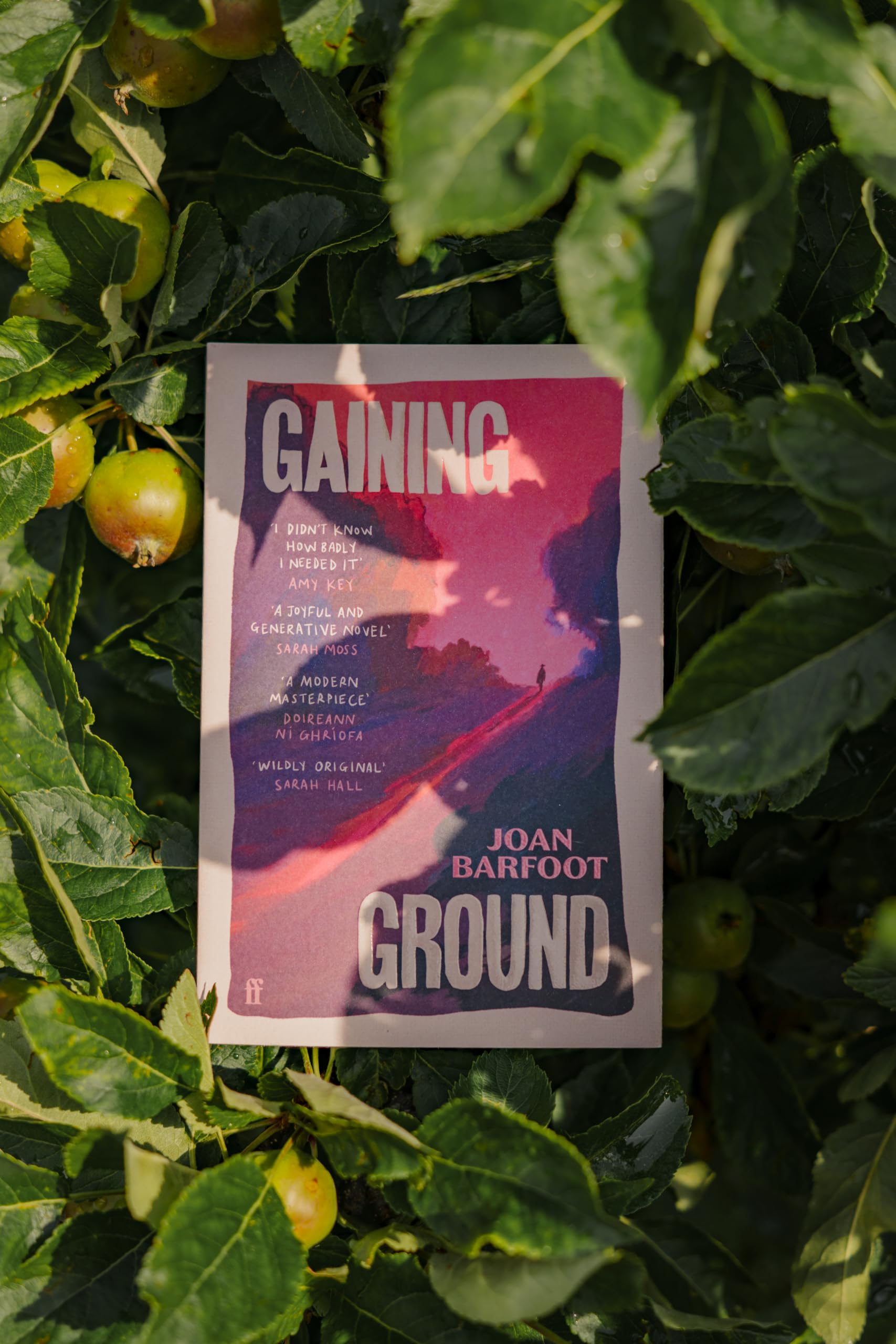 Gaining Ground by Joan Barfoot - A Novel of Self-Liberation | Paperback | 304 Pages