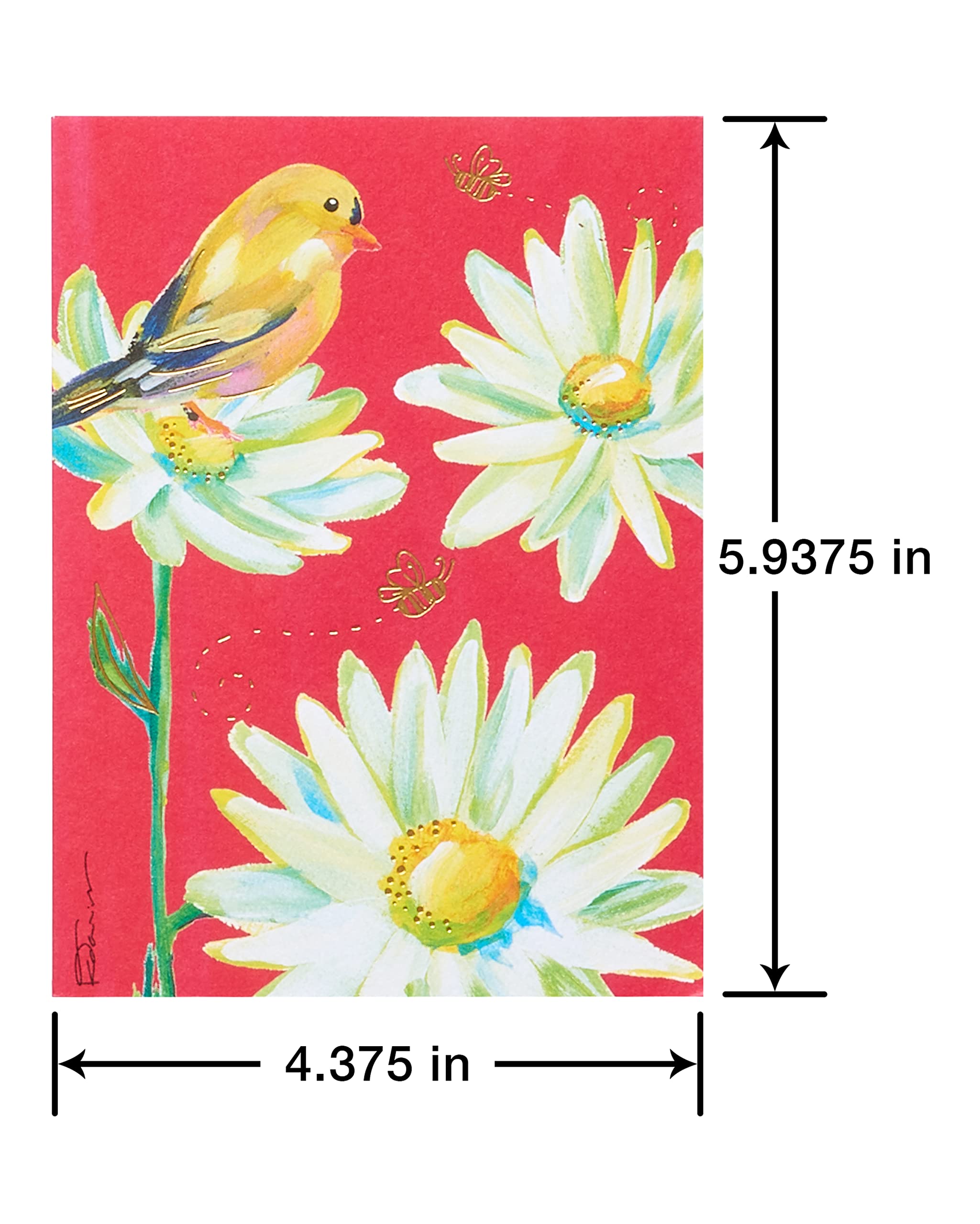 American Greetings All Occasion Blank Card Multipack - 40 Count, FSC Certified Cardstock