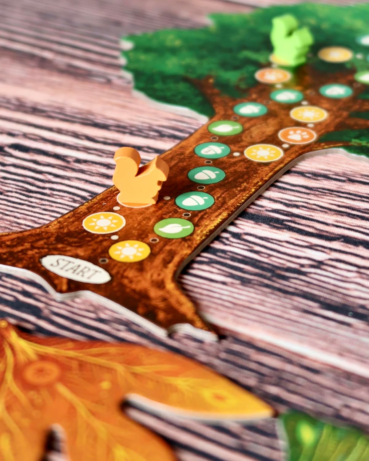 Weird City Games Leaf Family Card Game for Ages 10+ | 1-4 Players | 30-45 Minute Play Time 5