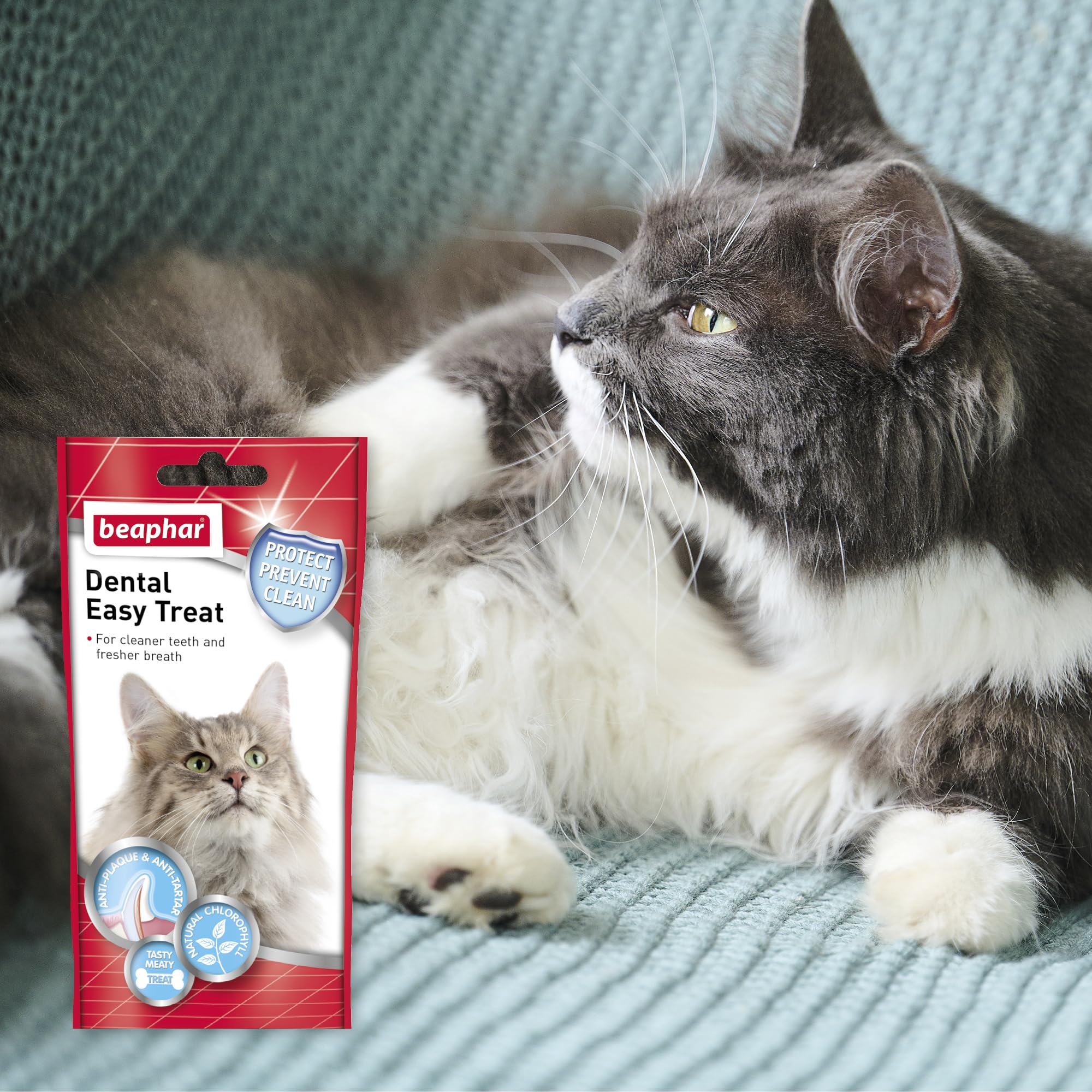 Beaphar Dental Easy Treats for Cats - Cleaner Teeth & Fresher Breath | Chlorophyll Added | All Breeds 6