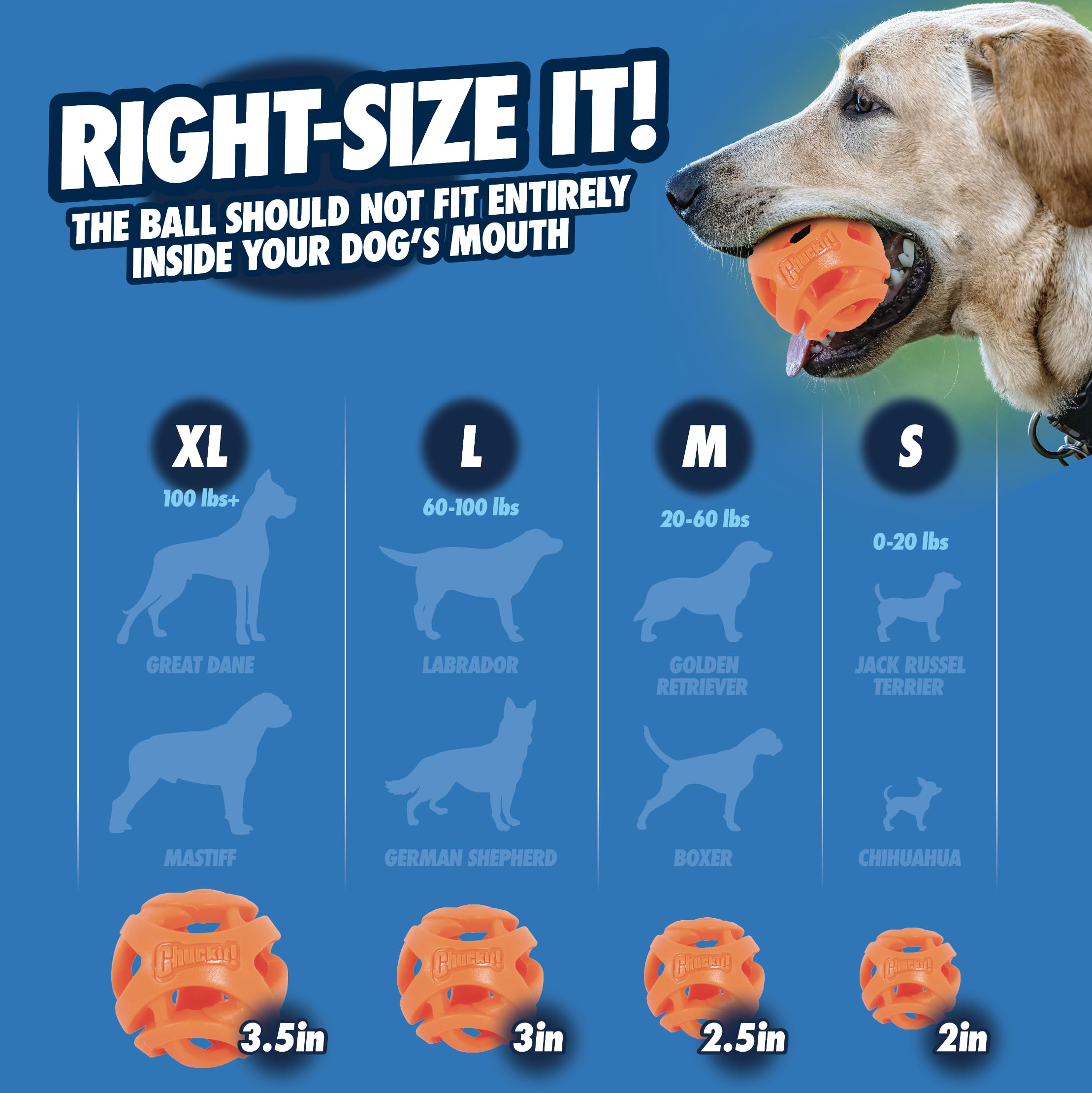 Chuckit! Breathe Right Fetch Ball - Small Size (2 Pack) | Hollow Mesh Design | Waterproof 2