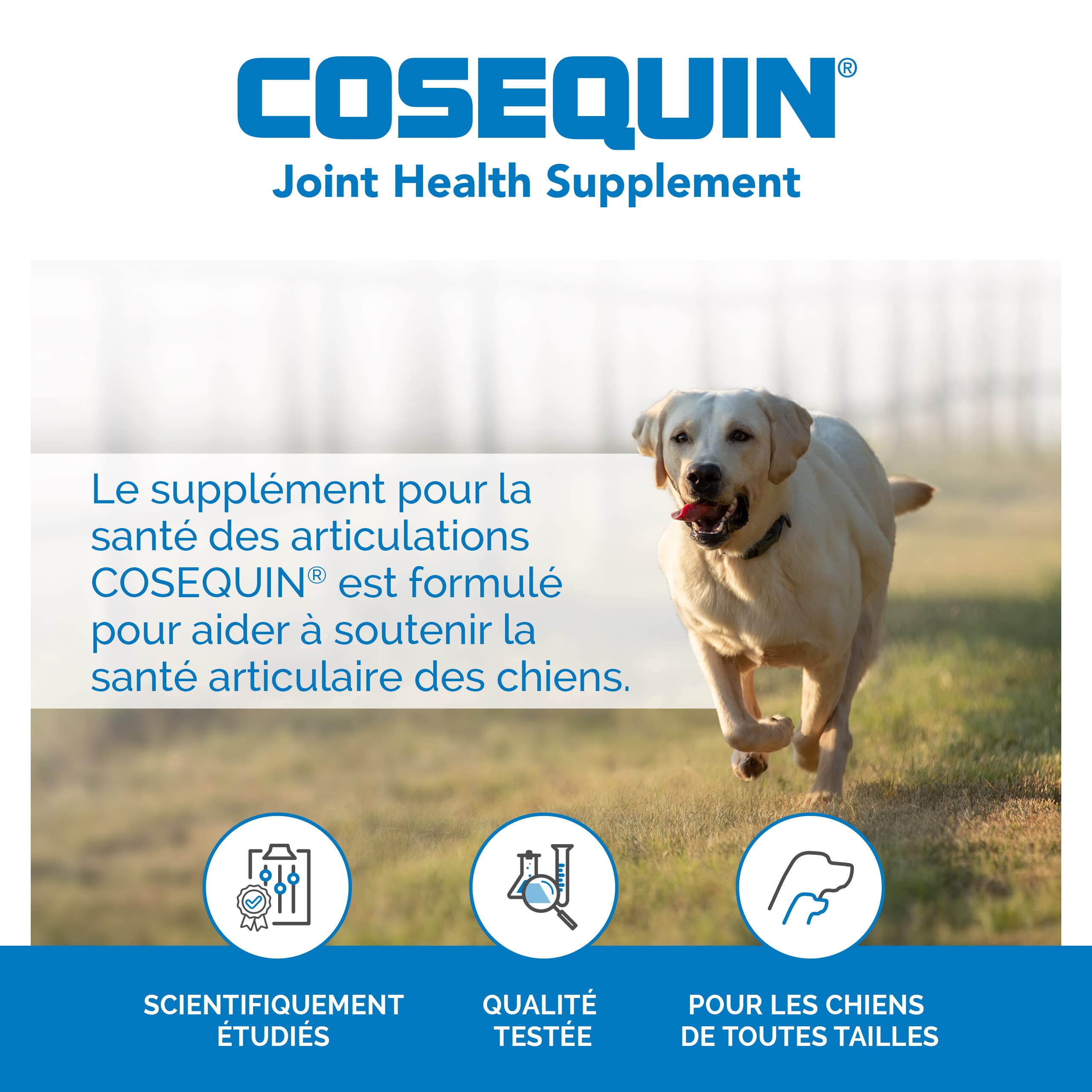 Nutramax COSEQUIN Joint Health Supplement for Dogs - Maximum Strength | 120 Count Tablets 2