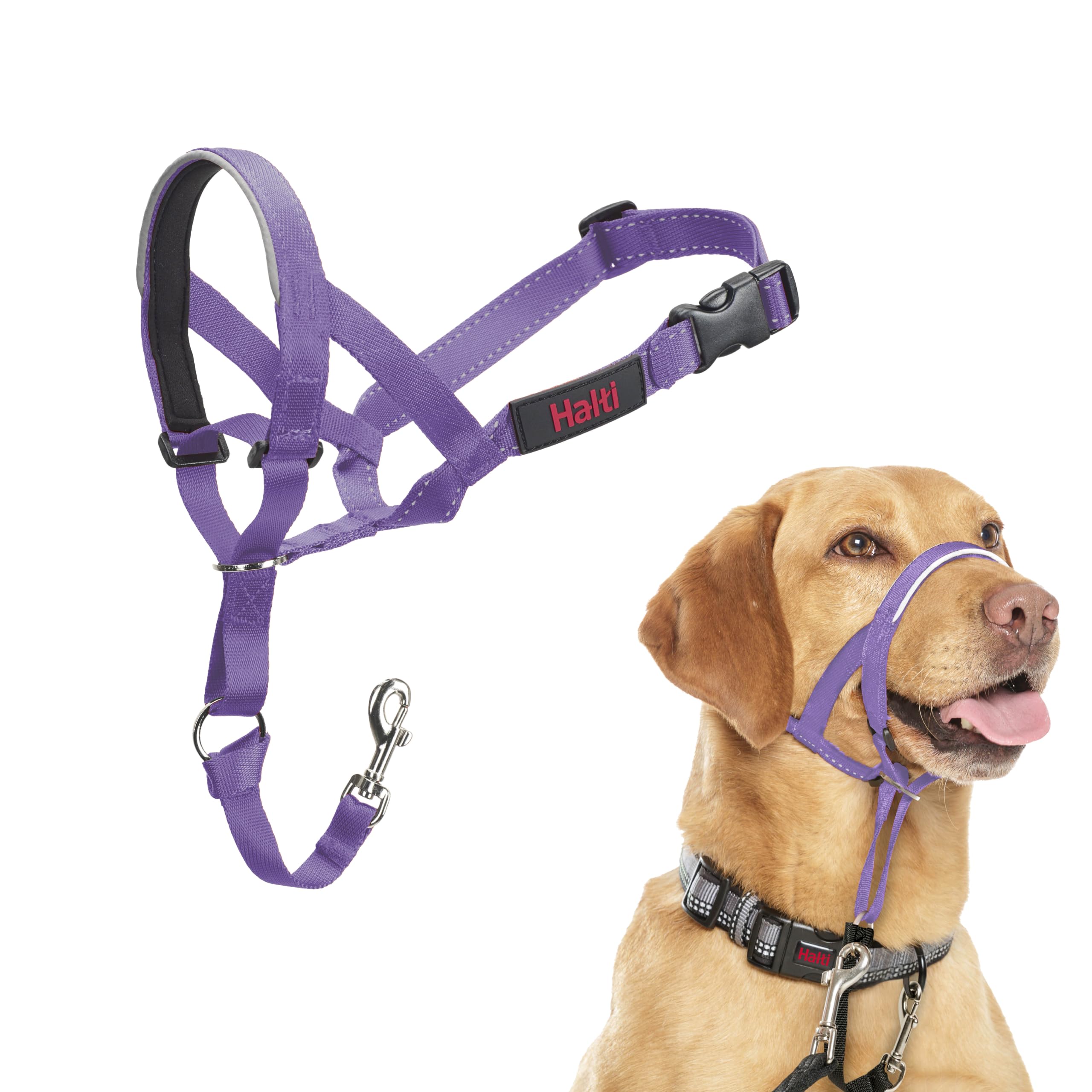 Halti Headcollar for Dogs - Stops Pulling | Size 3, Purple 1