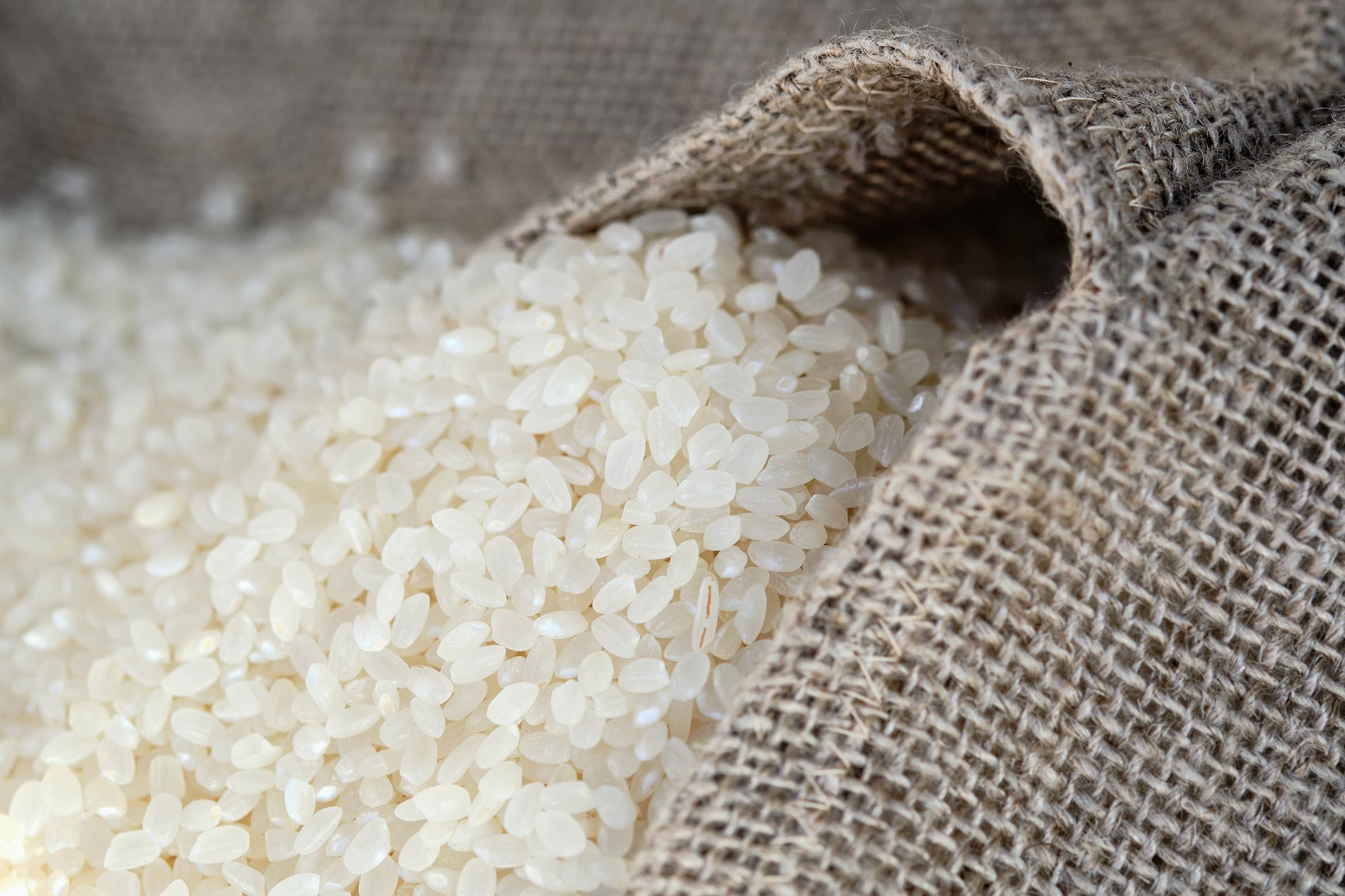Emma Basic Koshi Haruki Sushi Rice - Superior Grade Japonica | 500g Bag | Gluten Free 4