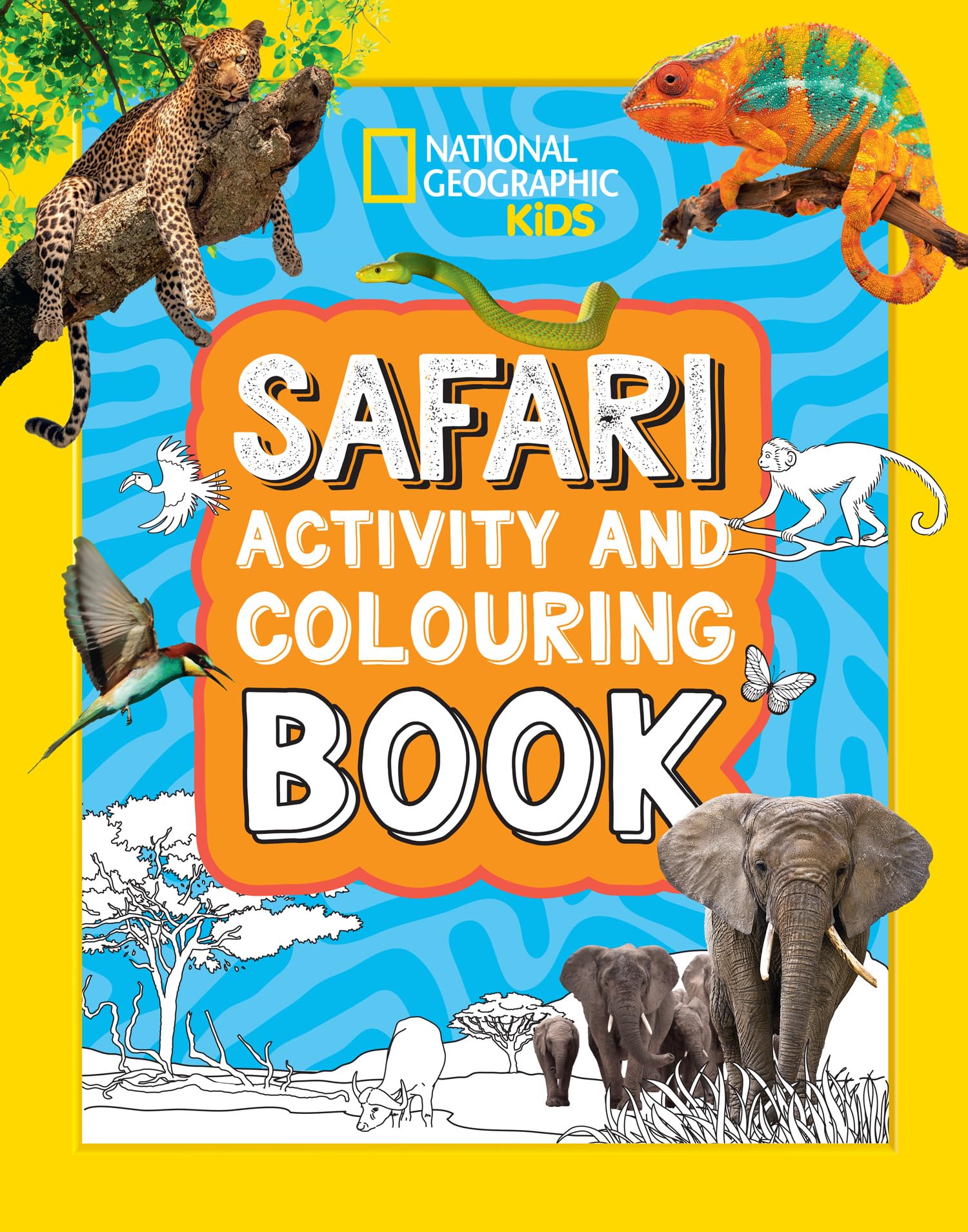 Collins National Geographic Kids Safari Activity and Colouring Book | Ages 4-7 | 48 Pages 1