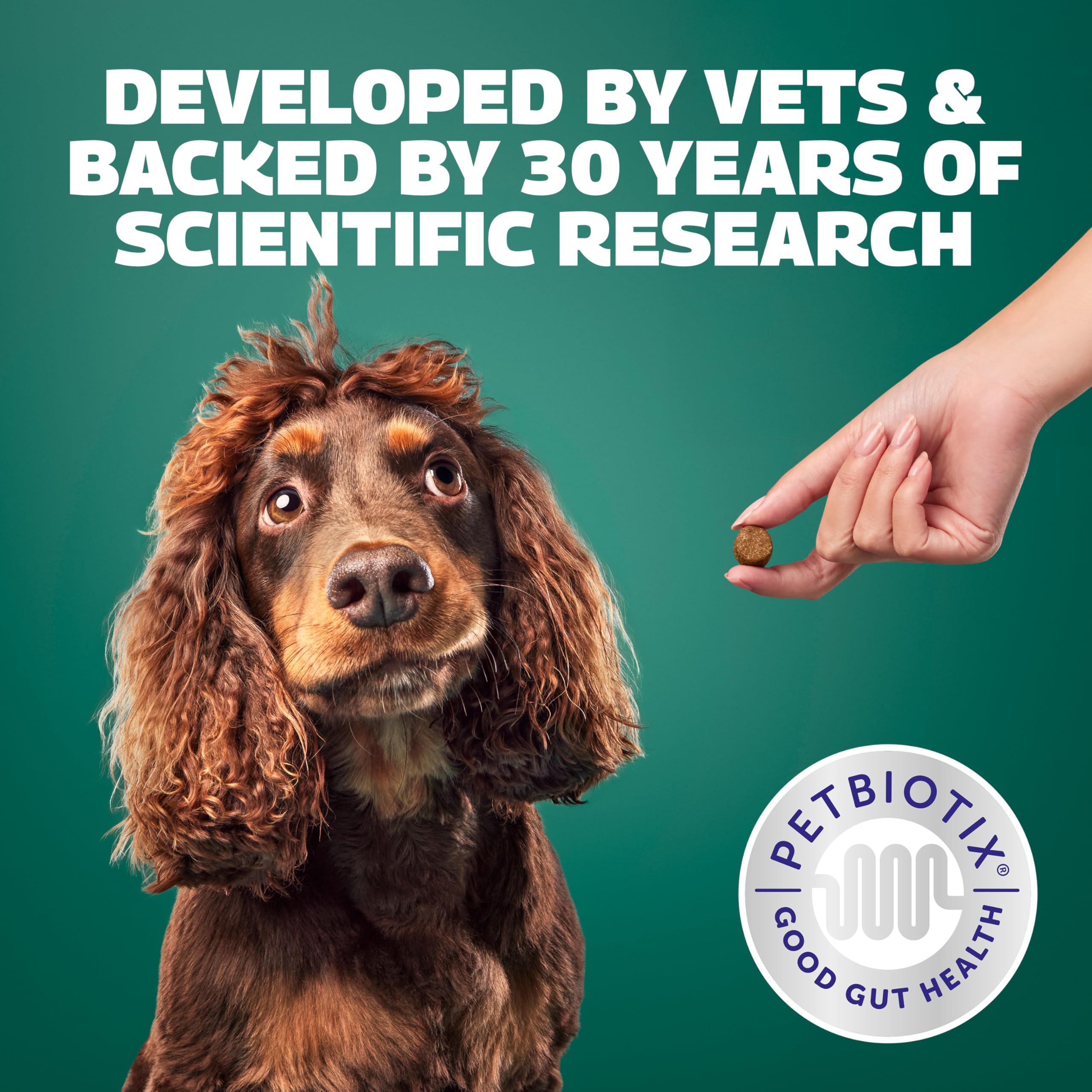 Protexin Daily Chews - High-Fibre Digestive Supplement for Dogs | Probiotics & Prebiotics 5