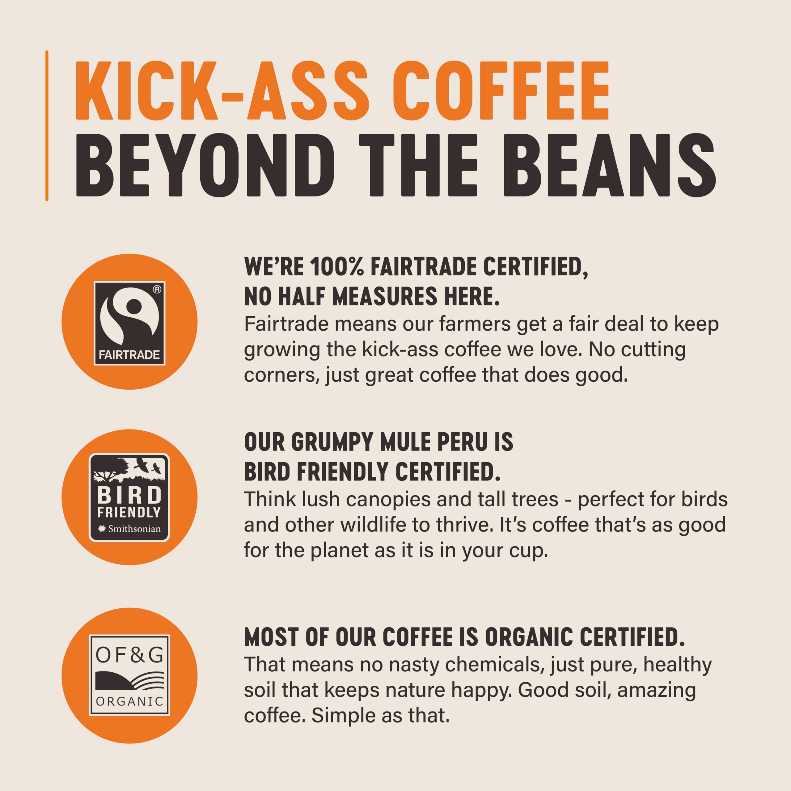 Grumpy Mule Top Notch Organic Blend Whole Coffee Beans - Berries & Dark Chocolate Notes | 1kg 5