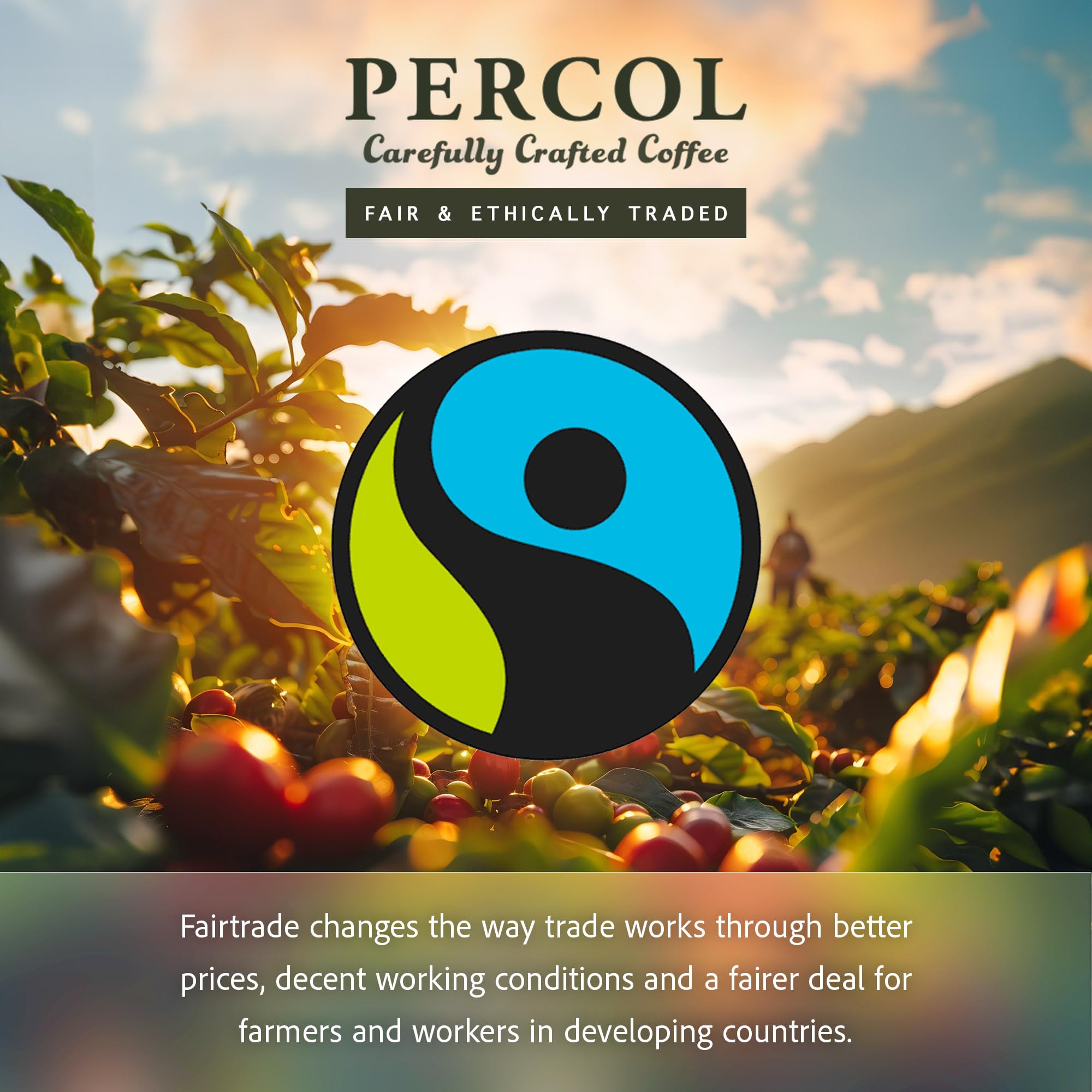 Percol Americano Loose Packed Ground Coffee Bags (80x8g) - Medium Roast Fairtrade Arabica 4