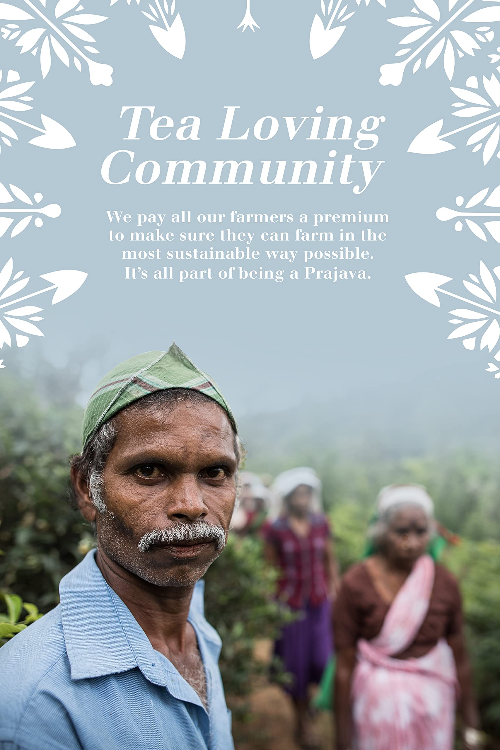 English Tea Shop Organic Wellness Me Collection - 36 Tea Bags in Gift Tin 6