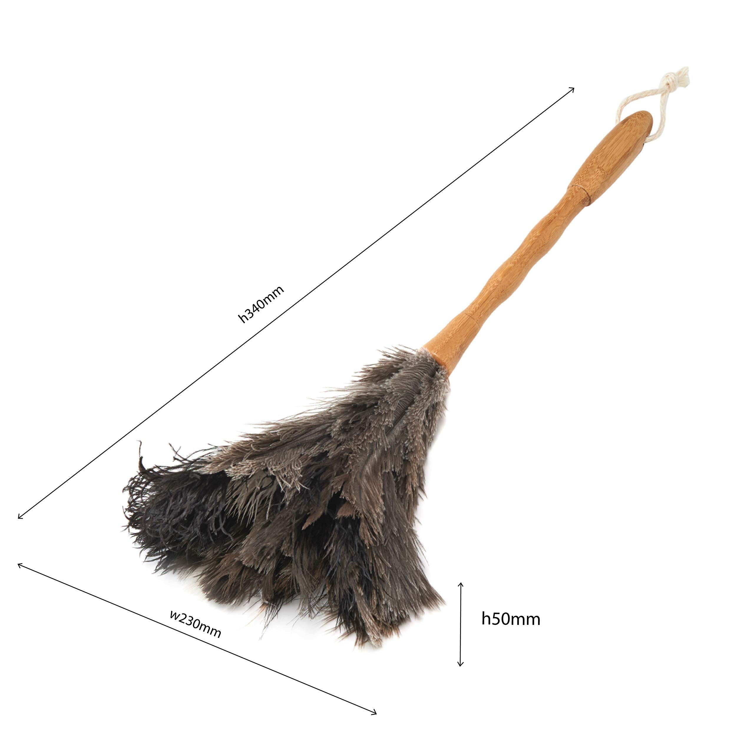 Addis Super Soft Real Ostrich Feather Duster with Bamboo Handle | Anti-Scratch | 54 cm Length 3