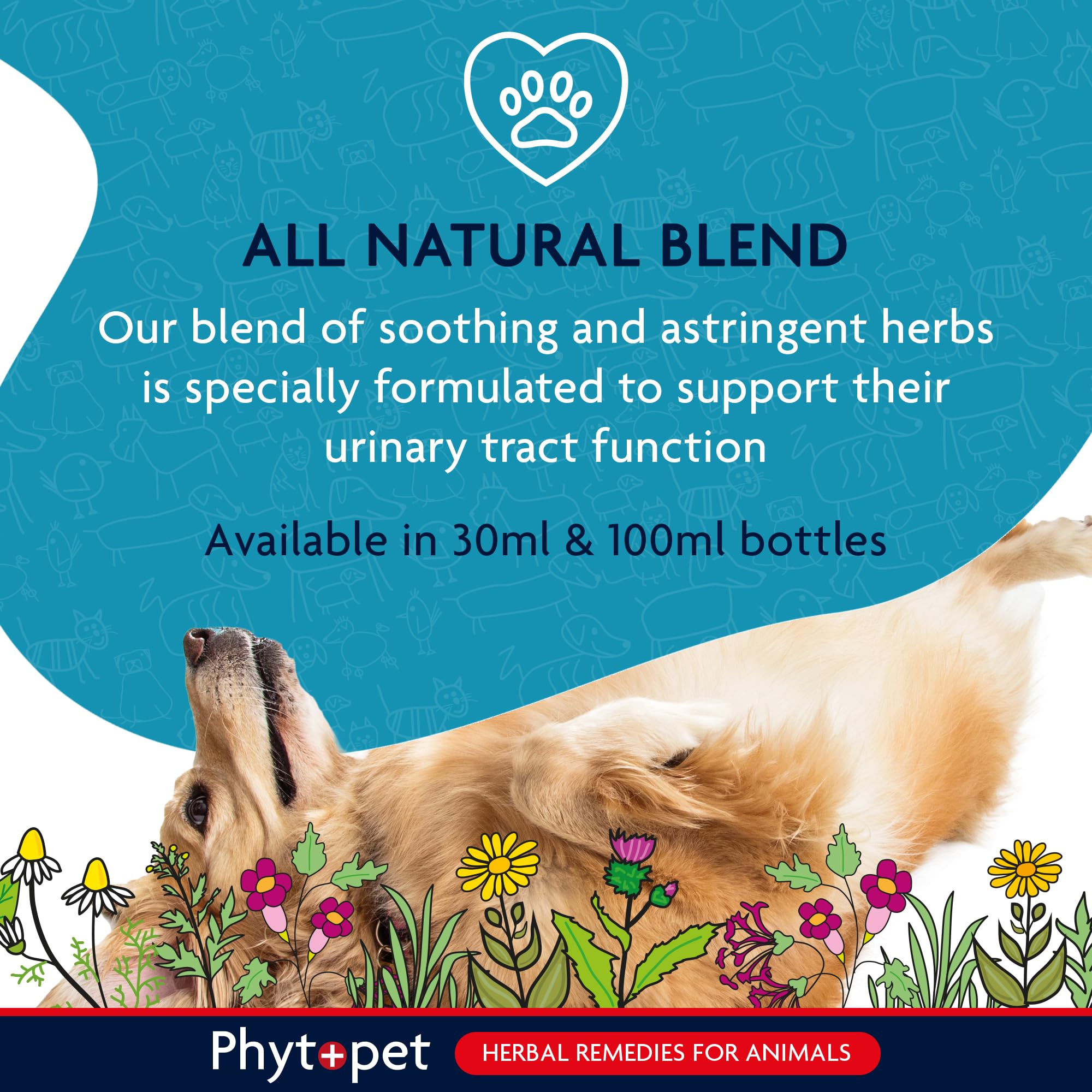 Phytopet Dry Herbal Supplement - Urinary Tract Support | 100ml Liquid 3
