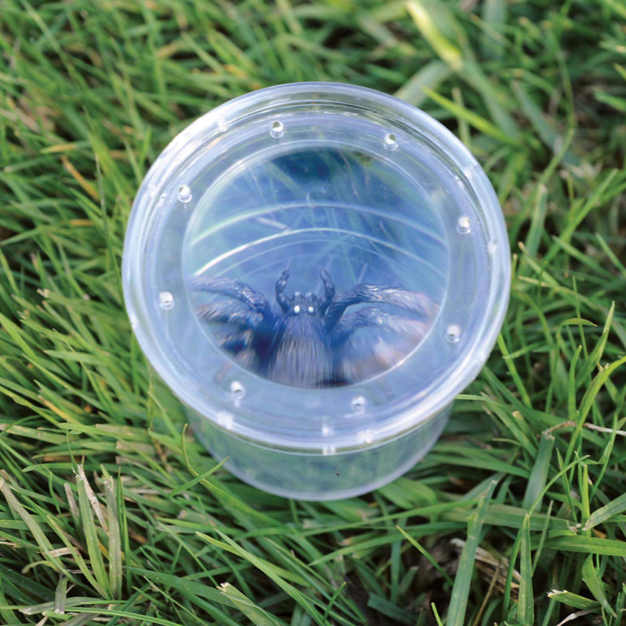 Learning Resources GeoSafari Jr. Bug Viewer - 3x Magnification & Measuring Grid for Kids Ages 4-8 3