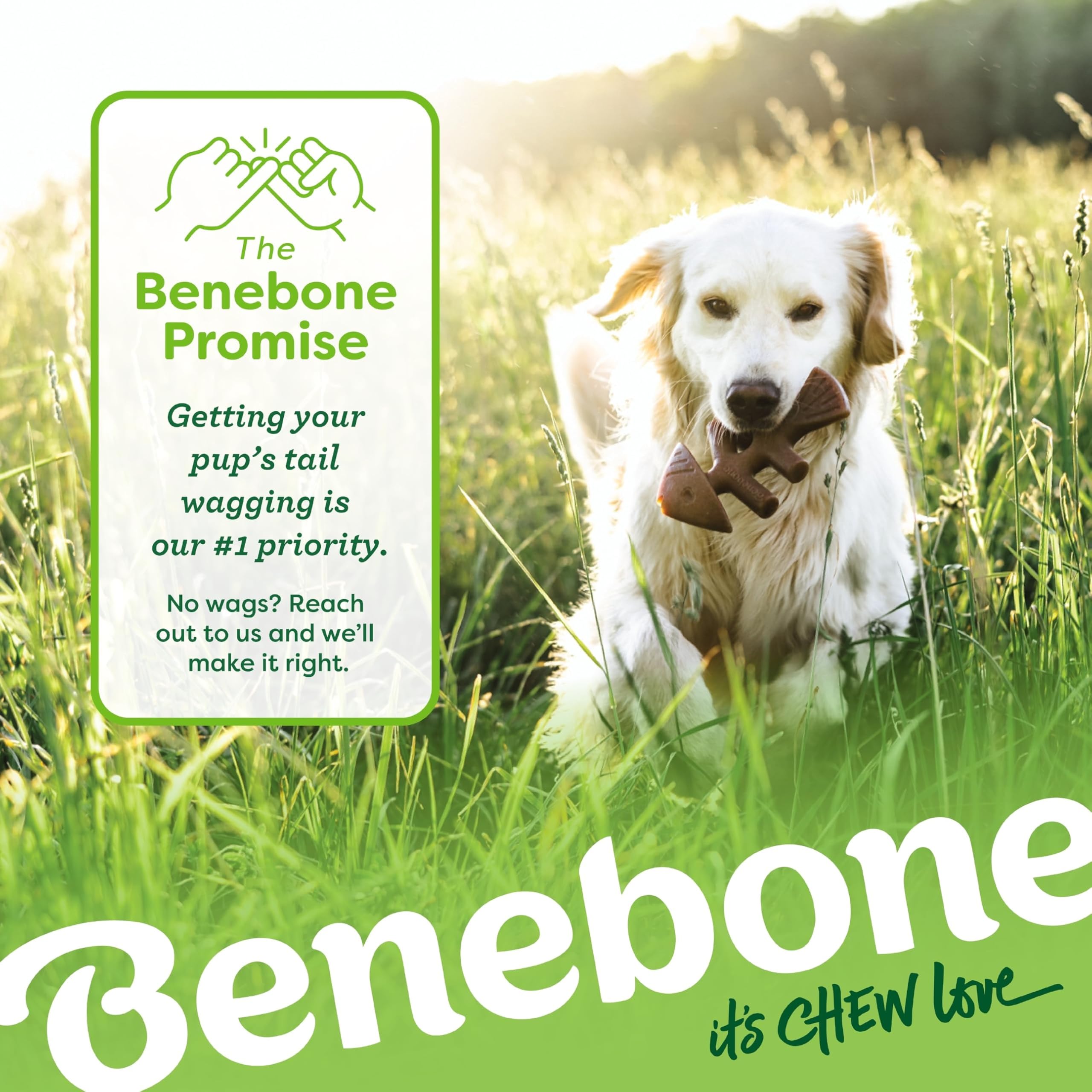 Benebone Holiday 4-Pack Durable Dog Chew Toys for Aggressive Chewers | Real Bacon, Salmon & Maple Flavors 7