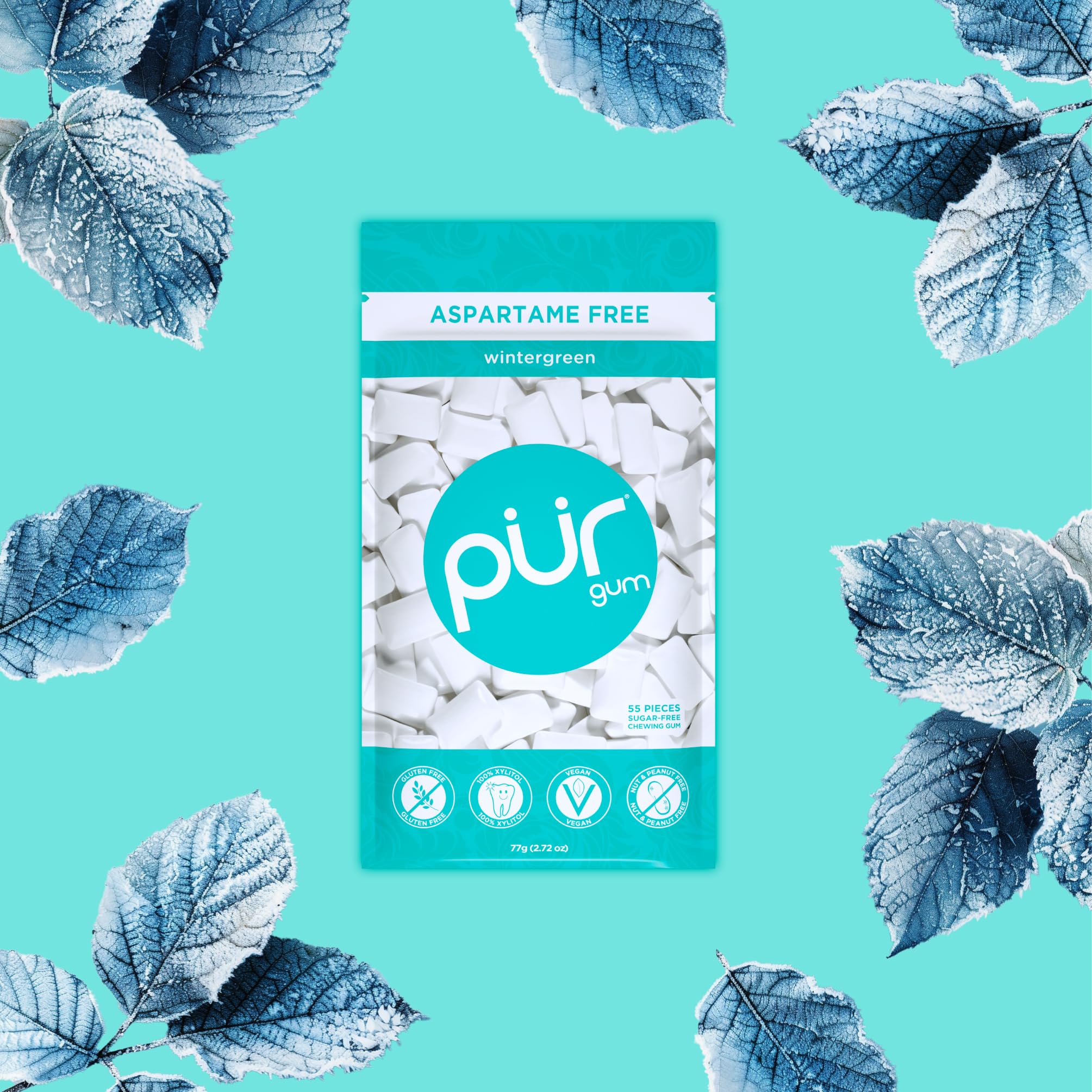 PUR Gum - Sugar Free Wintergreen Chewing Gum | Xylitol Sweetened | Vegan & Keto Friendly | 55 Count 3