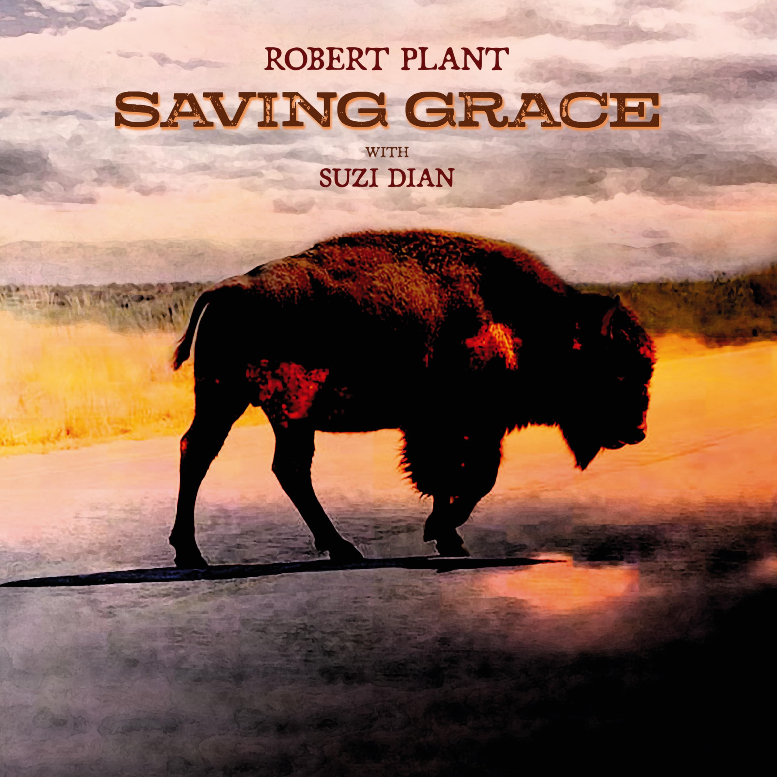 Robert Plant - Saving Grace (Black Vinyl) [VINYL] 2