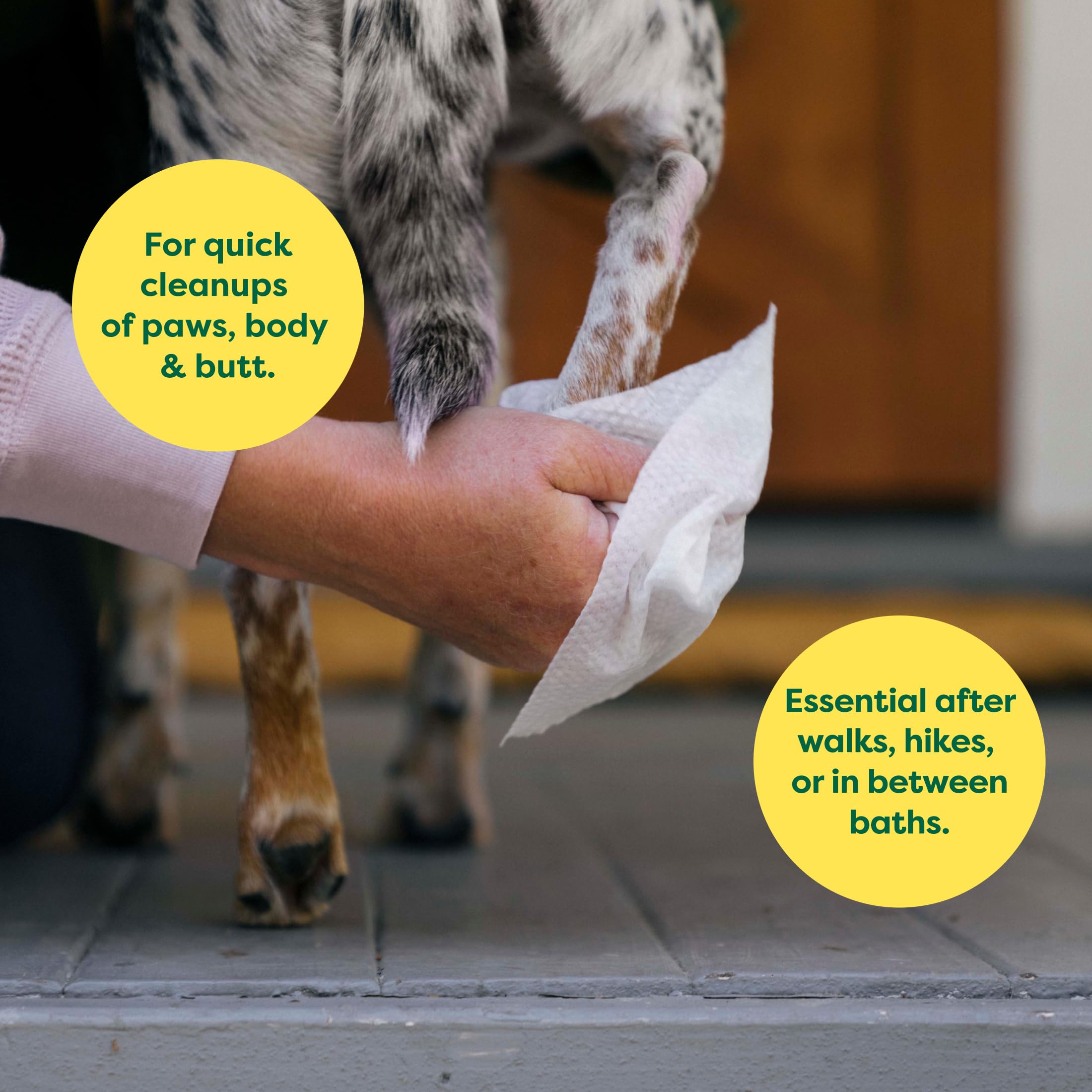 Earth Rated Dog Wipes - Hypoallergenic & Lavender Scented | 100 Count | 98% Biobased 2