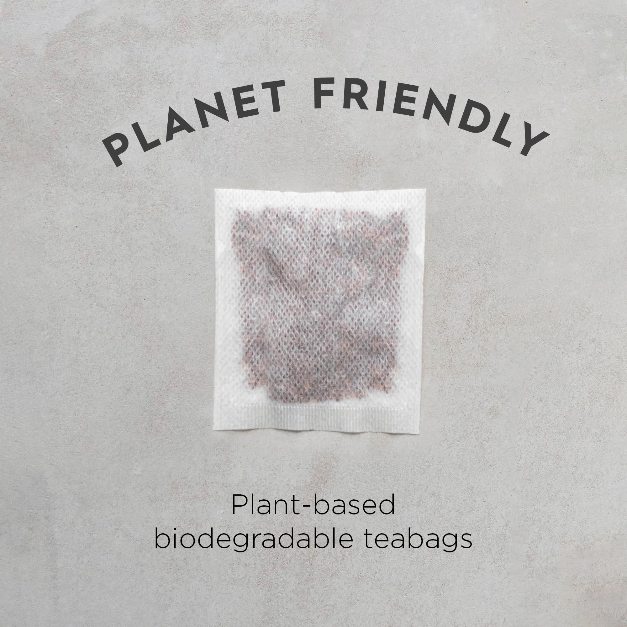 Dragonfly Tea Golden Breakfast Black Tea, 160 Biodegradable Tea Bags (4x40) - Bright & Smooth English Breakfast Blend 6