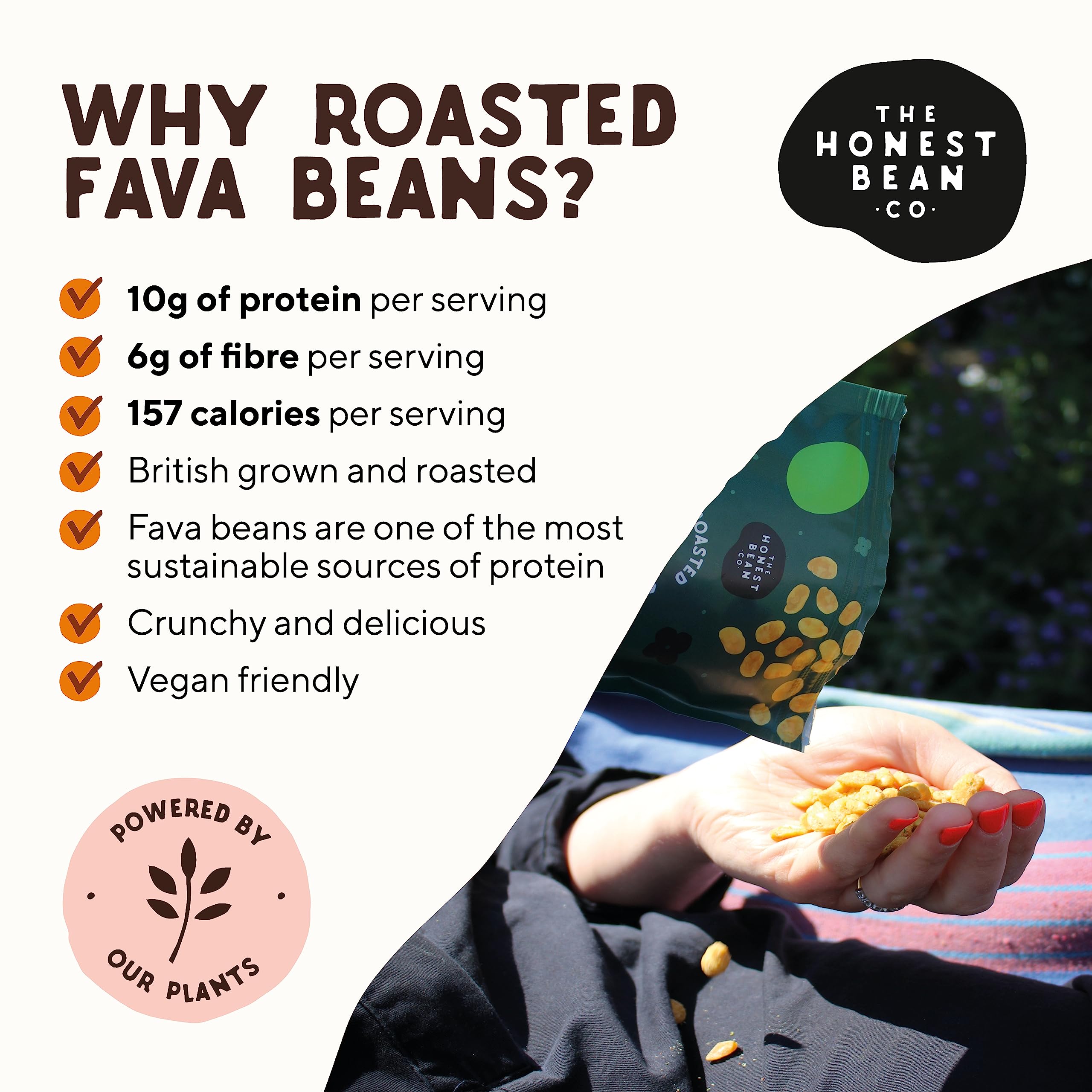 The Honest Bean Co Roasted Fava Bean Variety Pack - Lightly Salted, Sea Salt & Cider Vinegar, BBQ, Chilli Lemon, Seaweed & Miso, Black Garlic & Herb 6