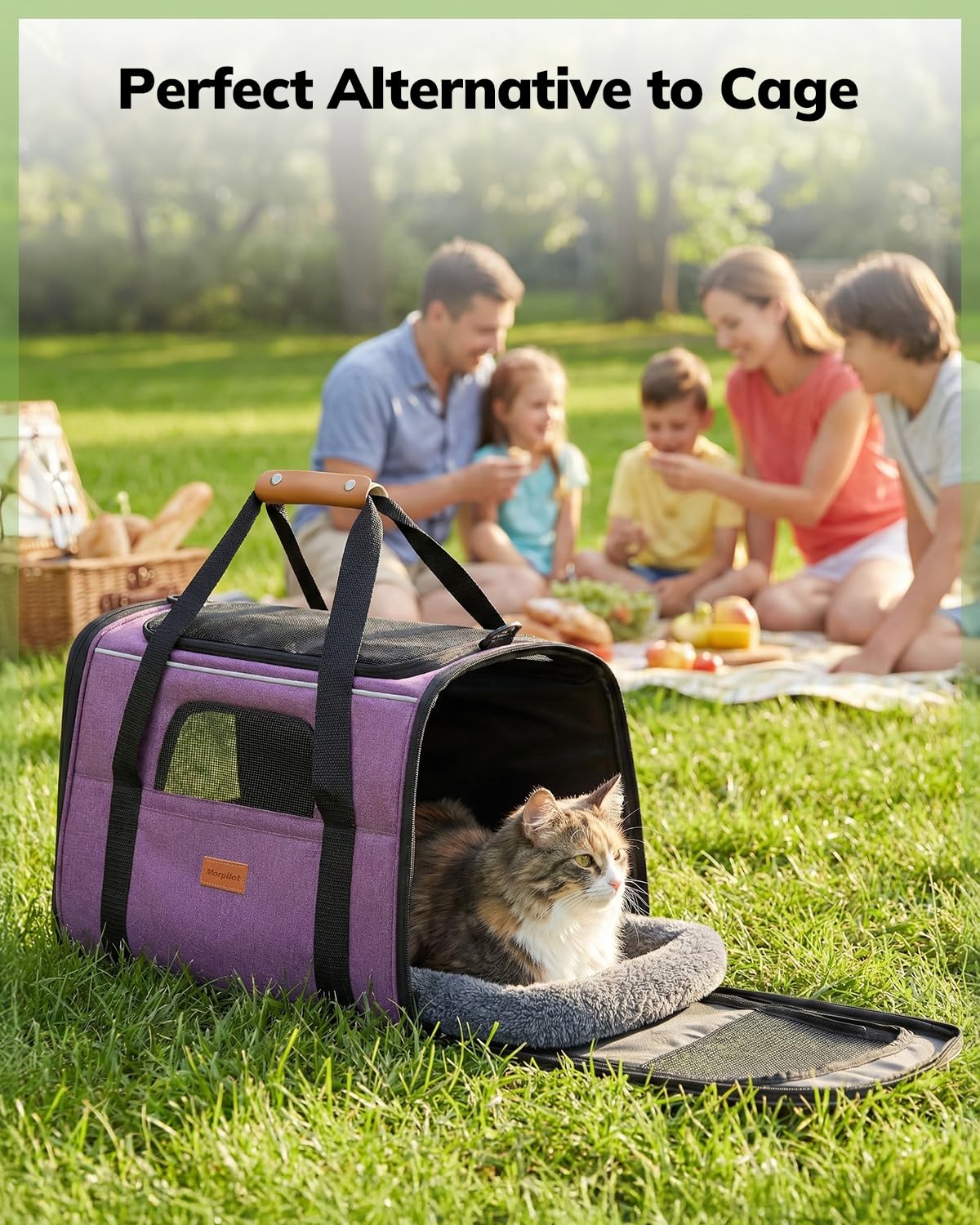 morpilot Airline Approved Soft-Sided Pet Carrier - Pink | Up to 7kg/15 lbs | 44cm L 7