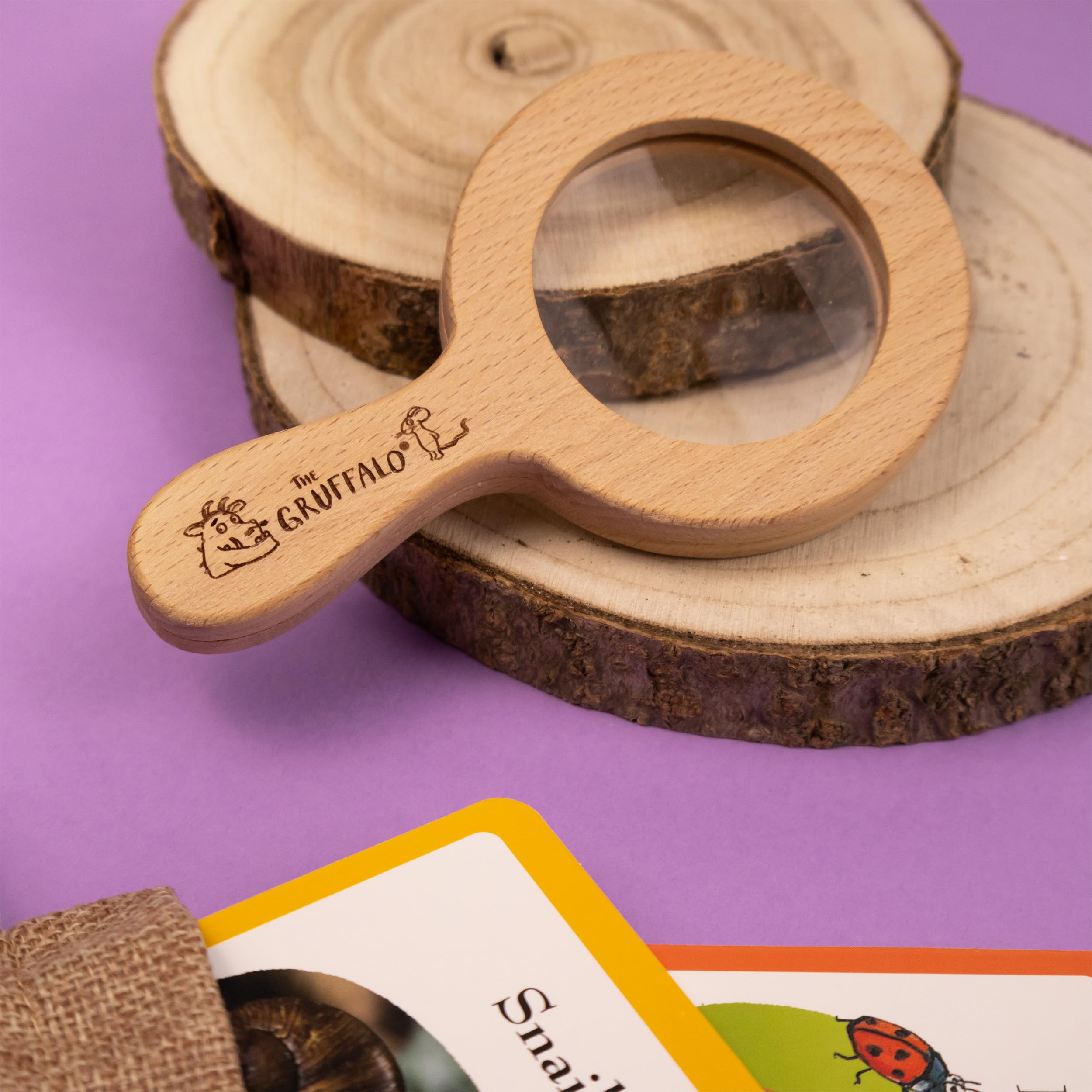 The Gruffalo Bug Spotter Activity Set - Nature Exploration for Kids 13