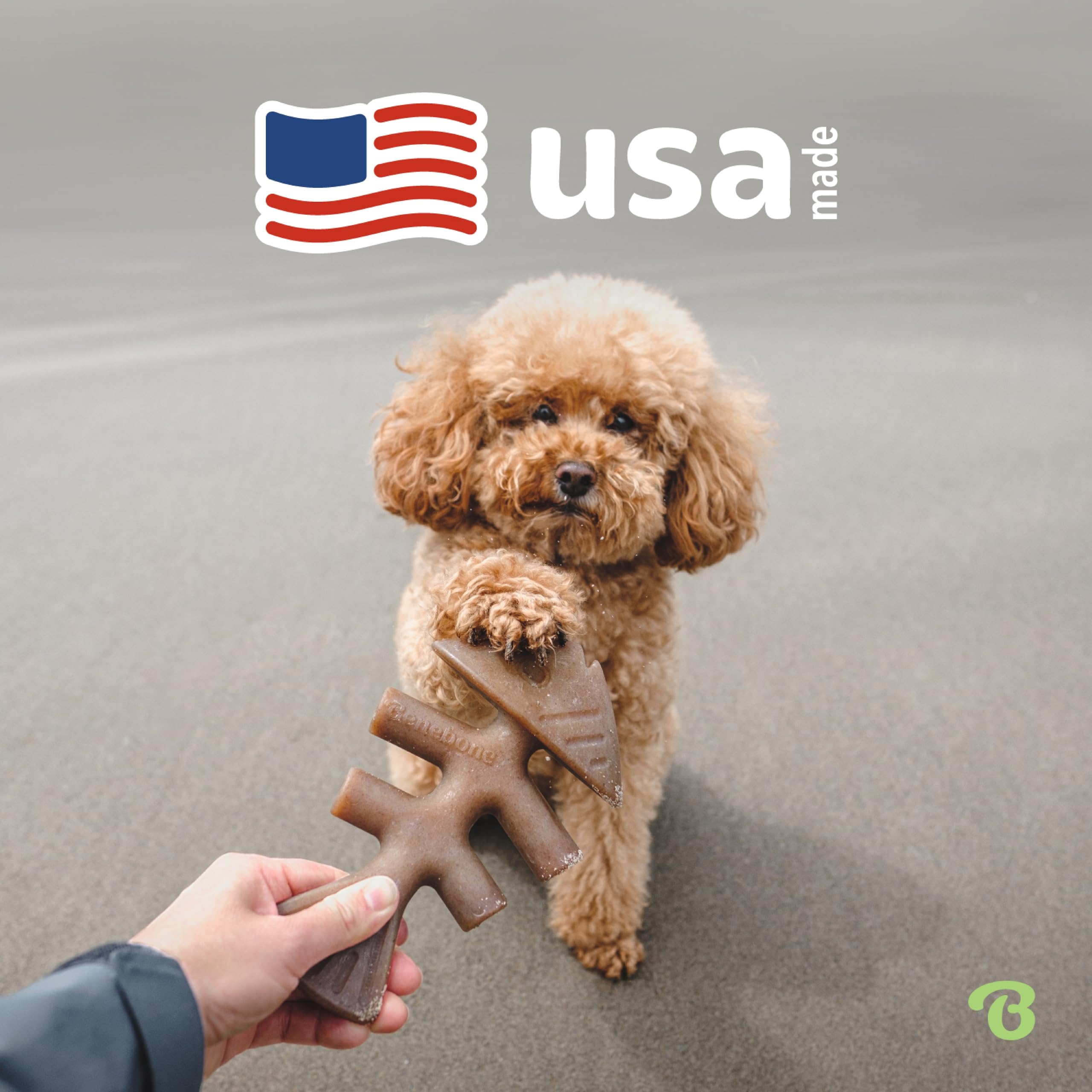 Benebone Fishbone Durable Chew Toy - Jack Salmon Flavor | 2 Pack for Tiny Dogs Under 15 lbs 5