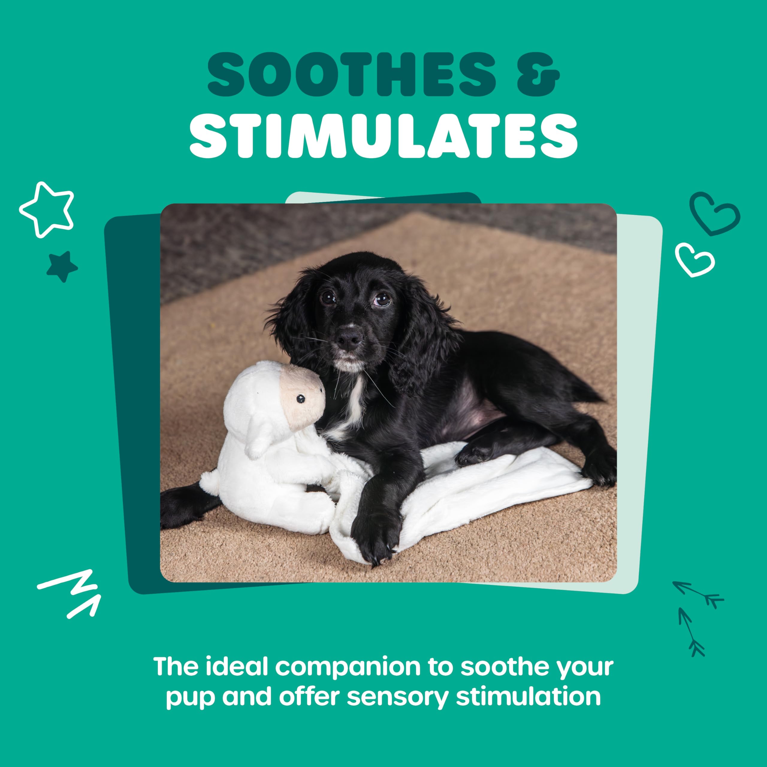 Webbox Layla the Cuddle Lamb Soft Plush Toy for Puppy Anxiety Relief | 110g 2
