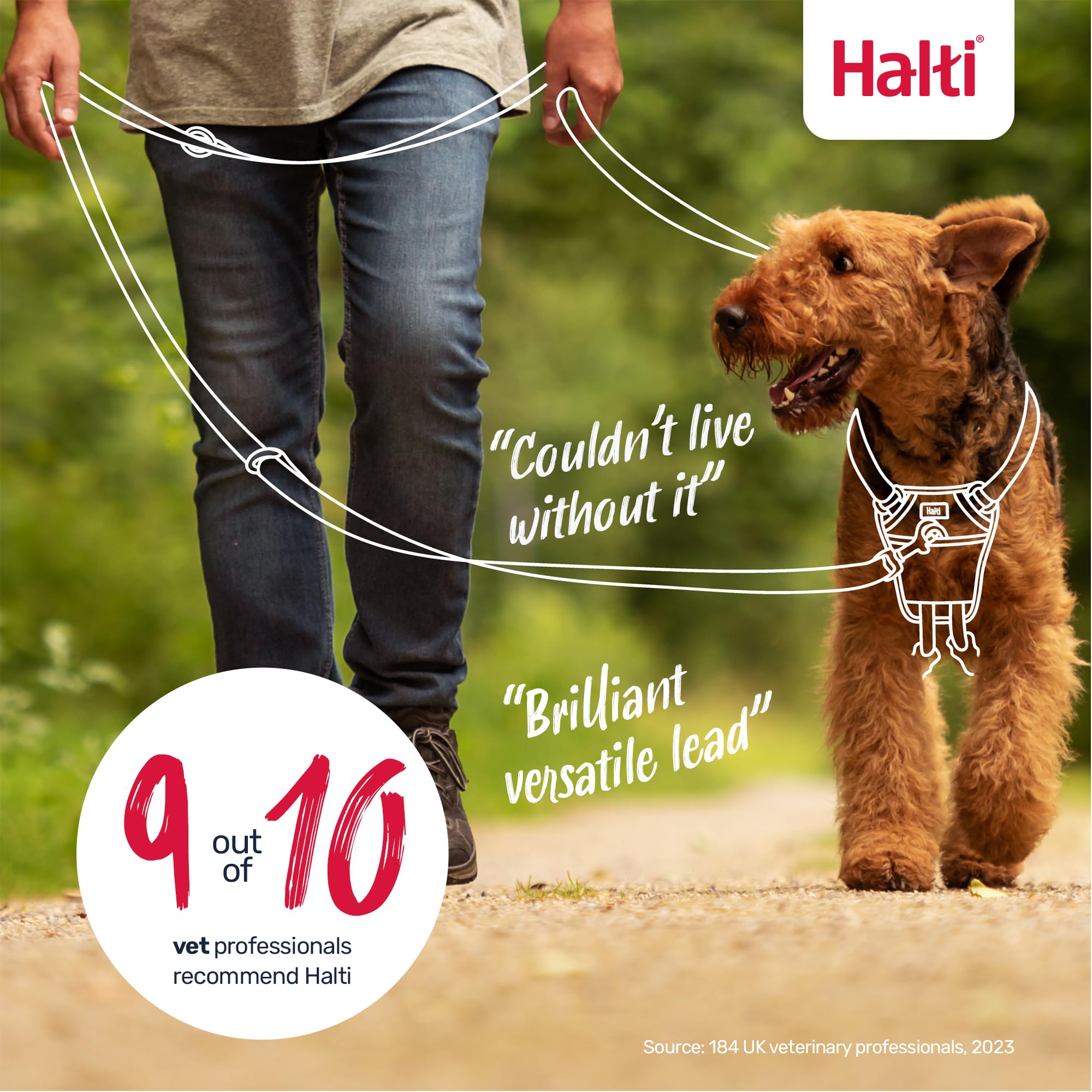 Halti Training Lead - Versatile & Durable Dog Training Lead | Purple, Small, 2m 6