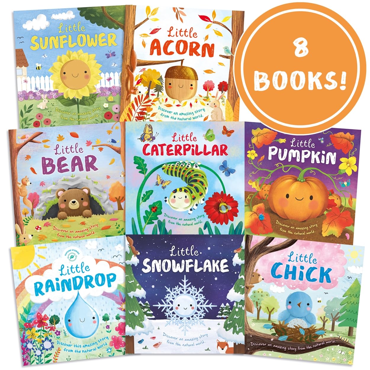 Autumn Collection of 8 Nature Stories Illustrated Picture Flats | Ages 2-5 1