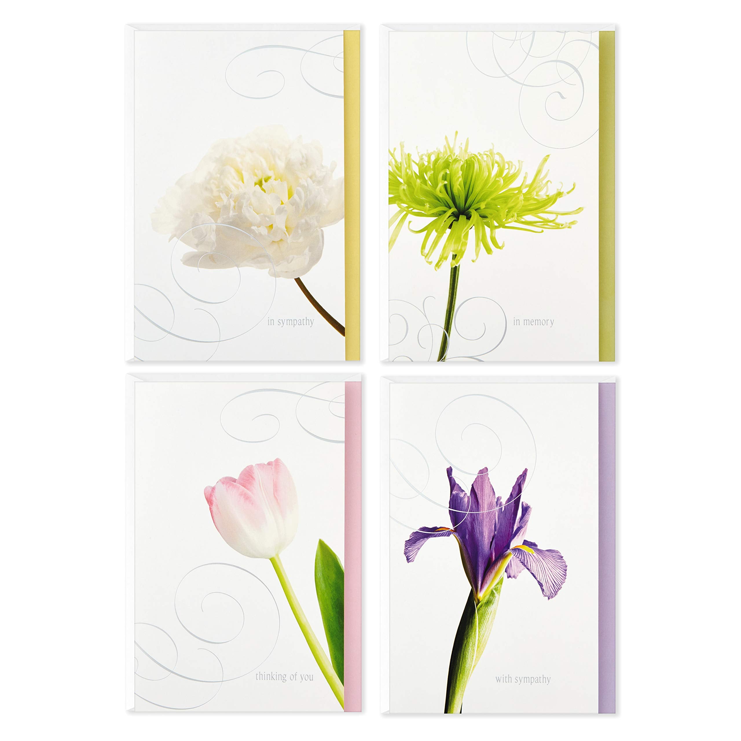 Hallmark Sympathy Greeting Cards Assorted Pack - 12 Cards with Envelopes | FSC Certified 2