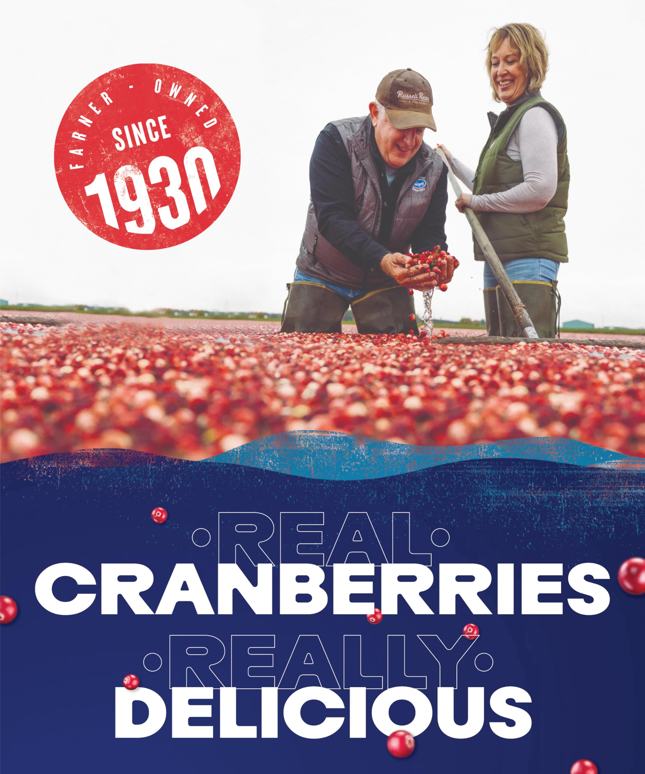 Ocean Spray Classic Cranberry Juice Drink - 1L | Sugar & Natural Sweetener | Vitamin C 5