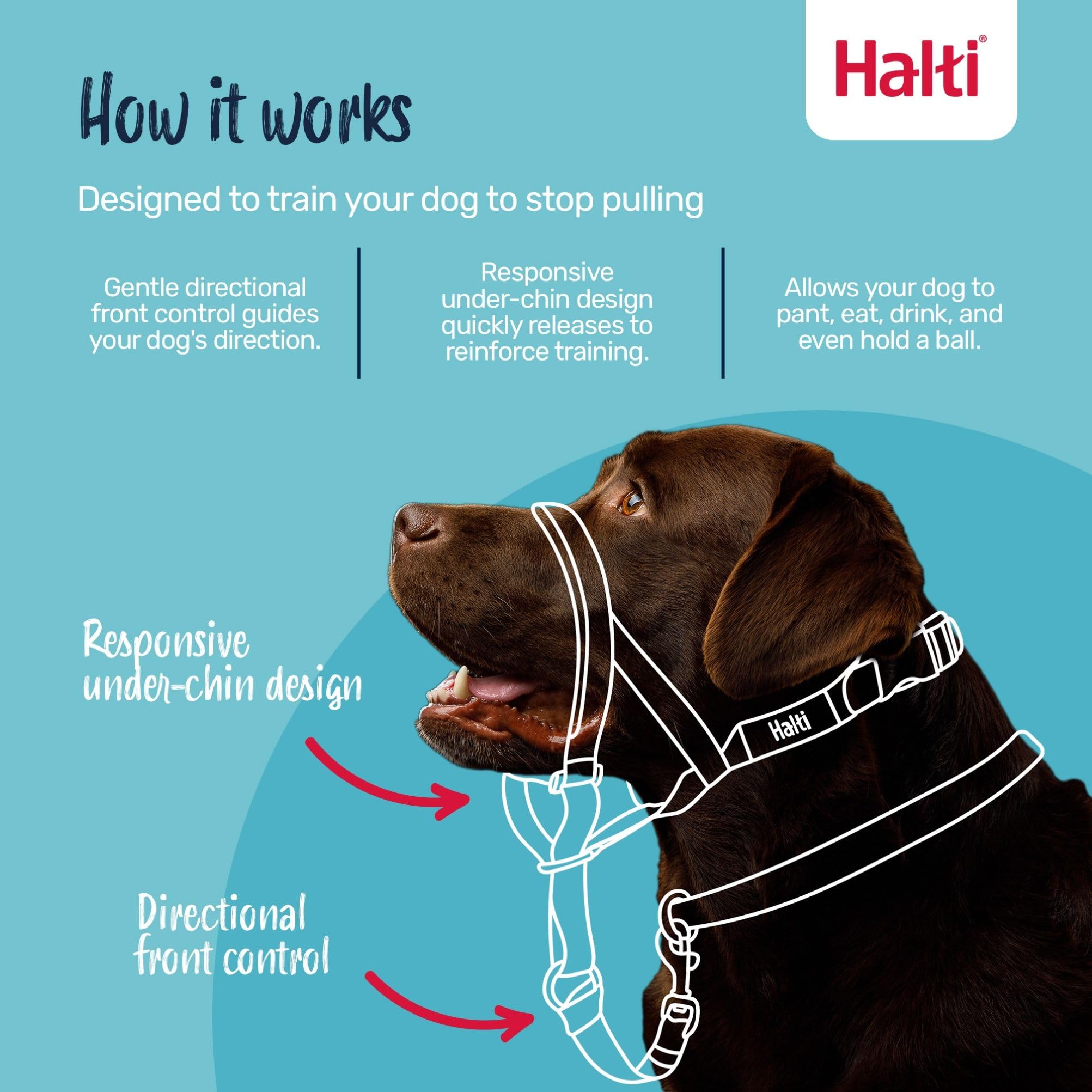 Halti Headcollar - Stops Pulling for Dogs | Size 3 Cobalt Blue | Reflective Nylon