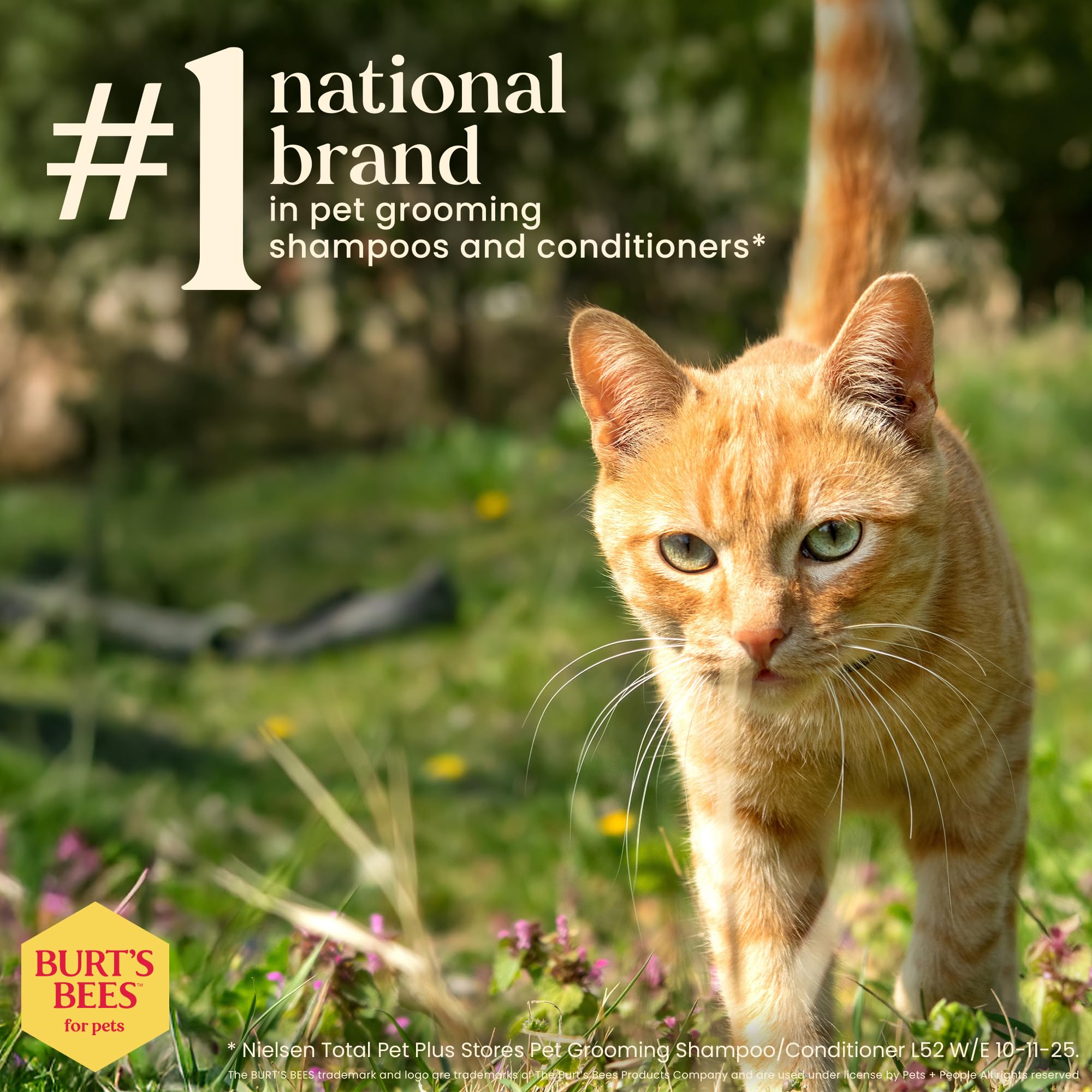 BURT'S BEES FOR PETS Dander Reducing Spray for Cats - 296ml | pH Balanced | Aloe Vera & Oatmeal 6