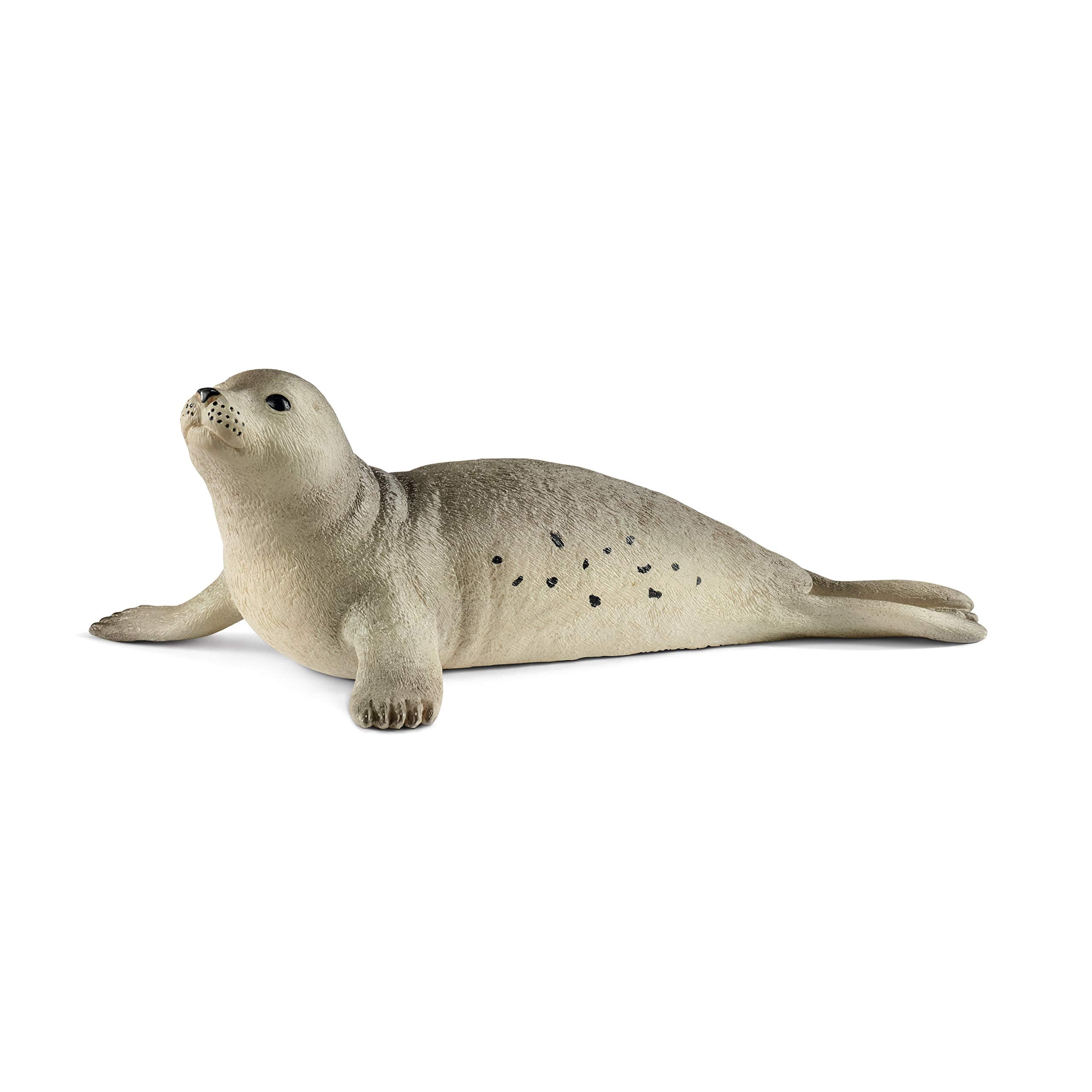 SCHLEICH 14801 Seal Wildlife Animal Figure - Educational Play for Kids