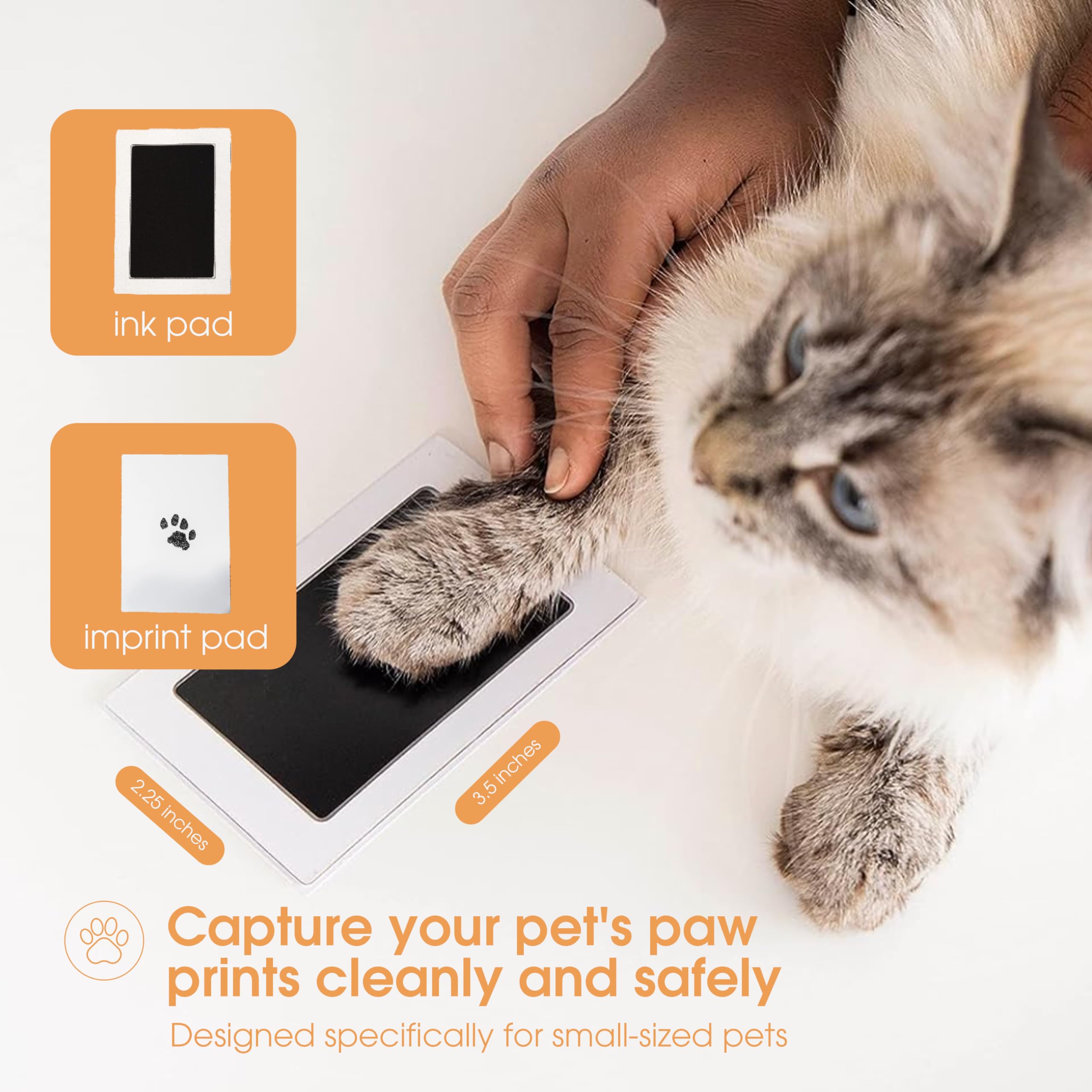 Pearhead Paw Print Clean Touch Ink Pad Kit for Dogs and Cats | Mess-Free Keepsake 2