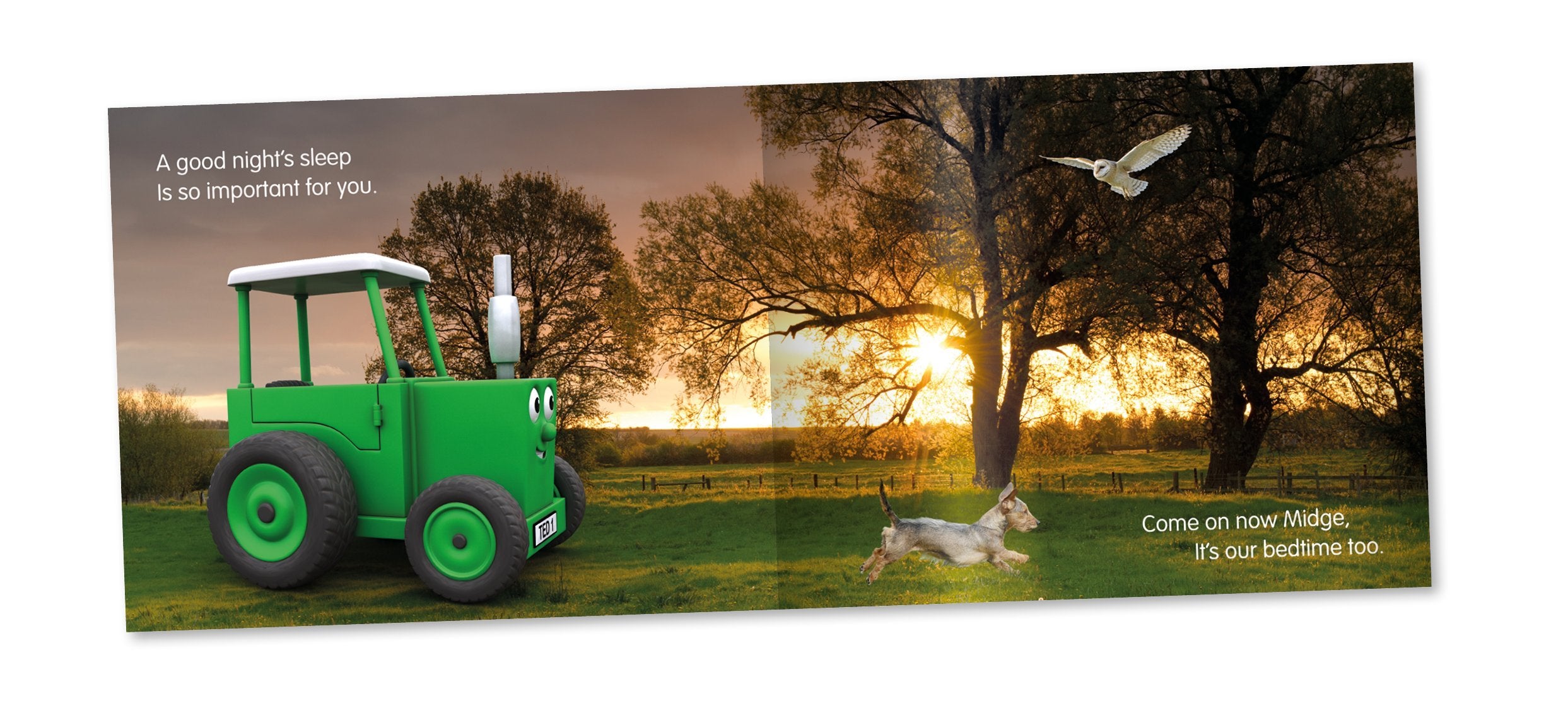 Tractor Ted - Time for Bed: Tractor Ted: 10 | Paperback | English 4