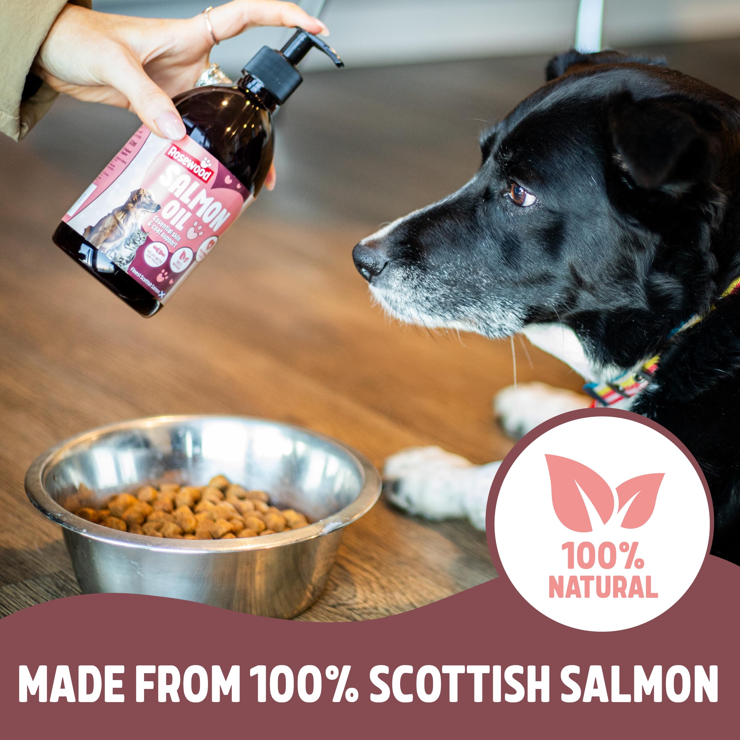 Rosewood Scottish Salmon Oil - Rich in Omega 3, 6 & 9 Fatty Acids for Healthy Skin & Coat | 500ml