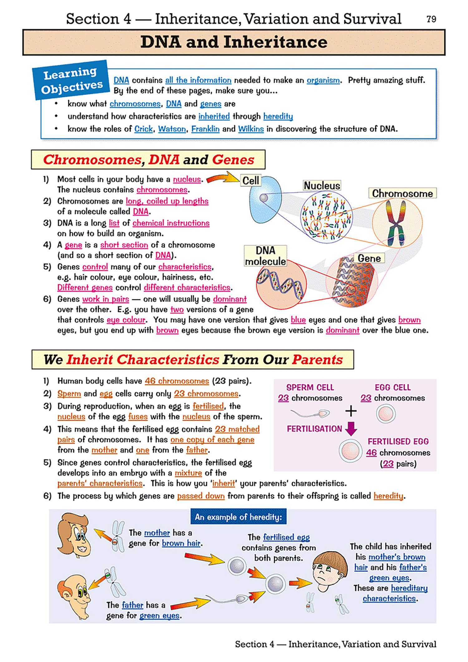 CGP KS3 Biology Study & Question Book - Higher Level | Ages 11-14 | Paperback