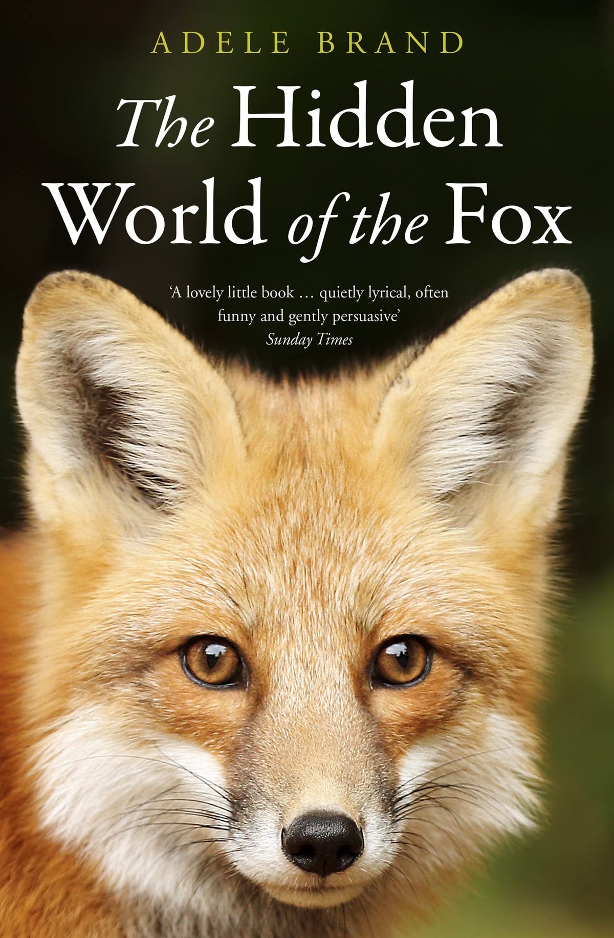The Hidden World of the Fox by Adele Brand – Paperback