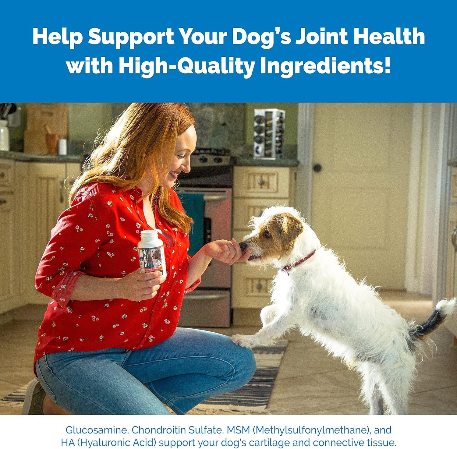Nutramax Cosequin Maximum Strength Joint Supplement for Dogs - 250 Count Tablets 4