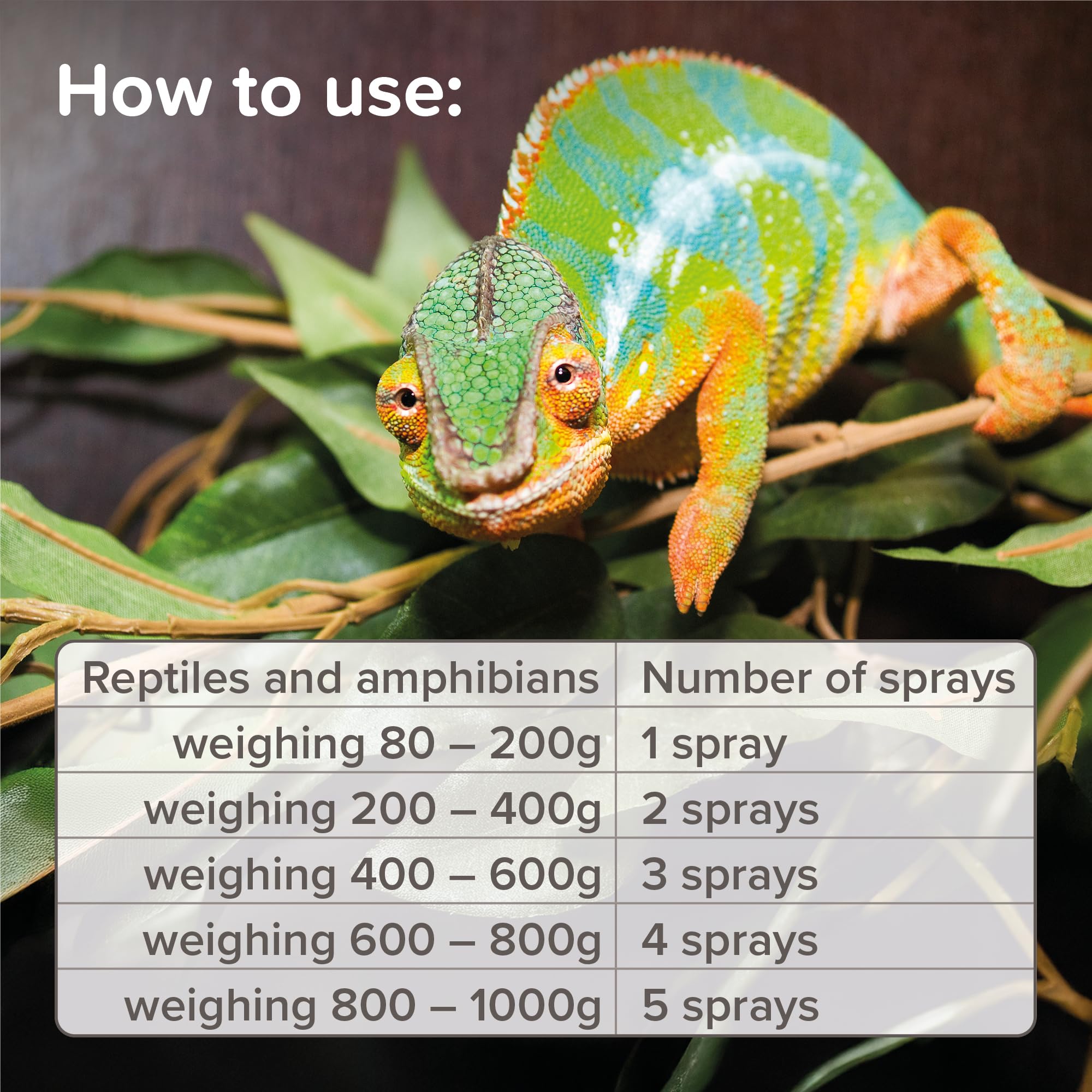 Beaphar Mite Spray for Reptiles & Amphibians - Vet-Strength Ivermectin Treatment | 50ml 5