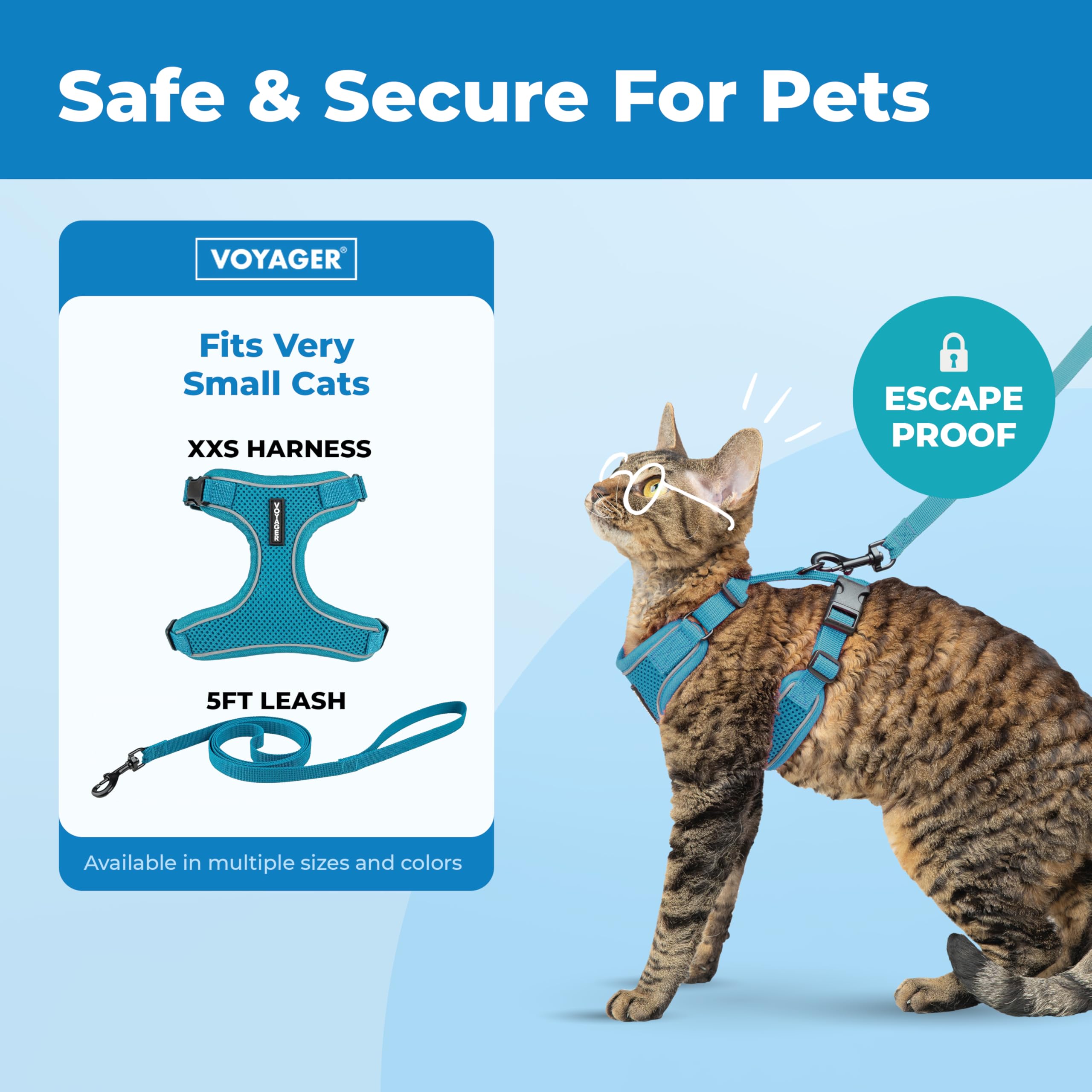 Best Pet Supplies Voyager Escape Proof Cat Harness and Leash Set - Reflective Stitching, 5ft Leash, Turquoise XXS