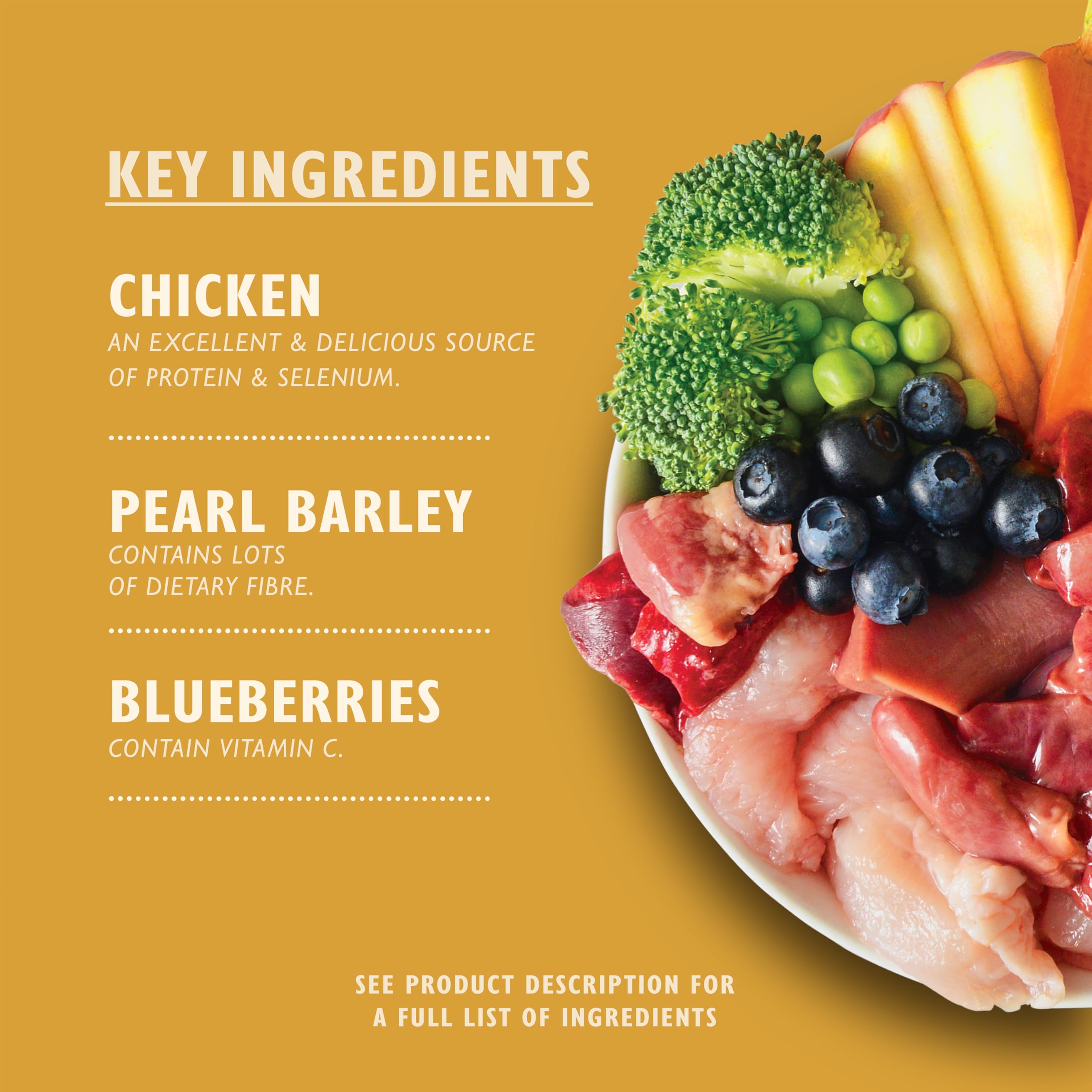 Lily's Kitchen Natural Adult Dog Food Wet Trays - Classic Dinners Multipack (6 x 150g)