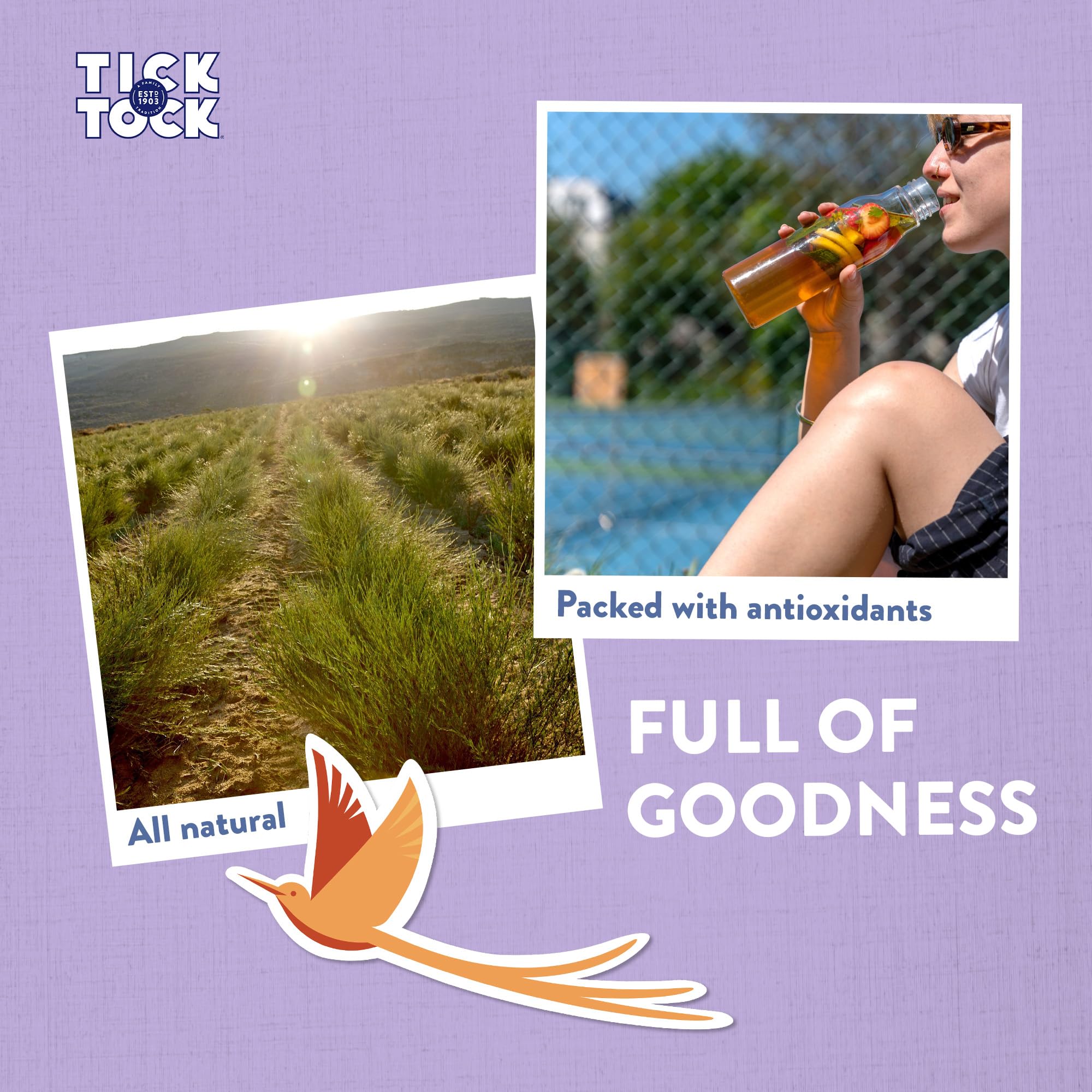 Tick Tock Organic Green Rooibos Tea Bags - Naturally Caffeine-Free, Biodegradable, 288g 5