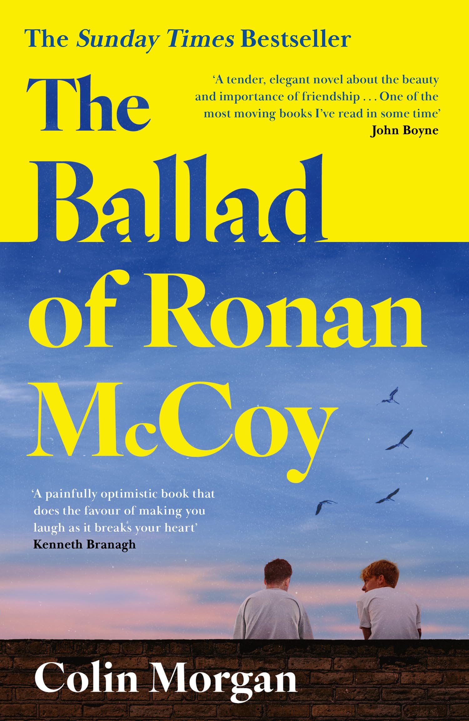 HQ The Ballad of Ronan McCoy - Contemporary Fiction Novel by Colin Morgan | Hardcover
