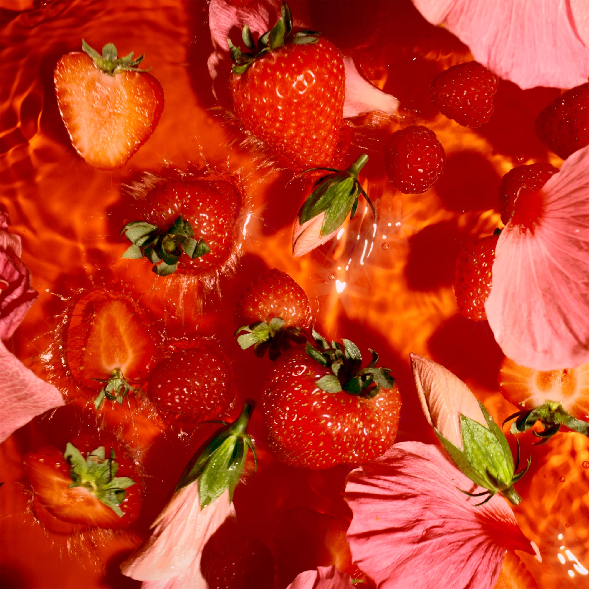 Lipton - Berry Bliss Fruit Infusion Herbal Tea Bags 8